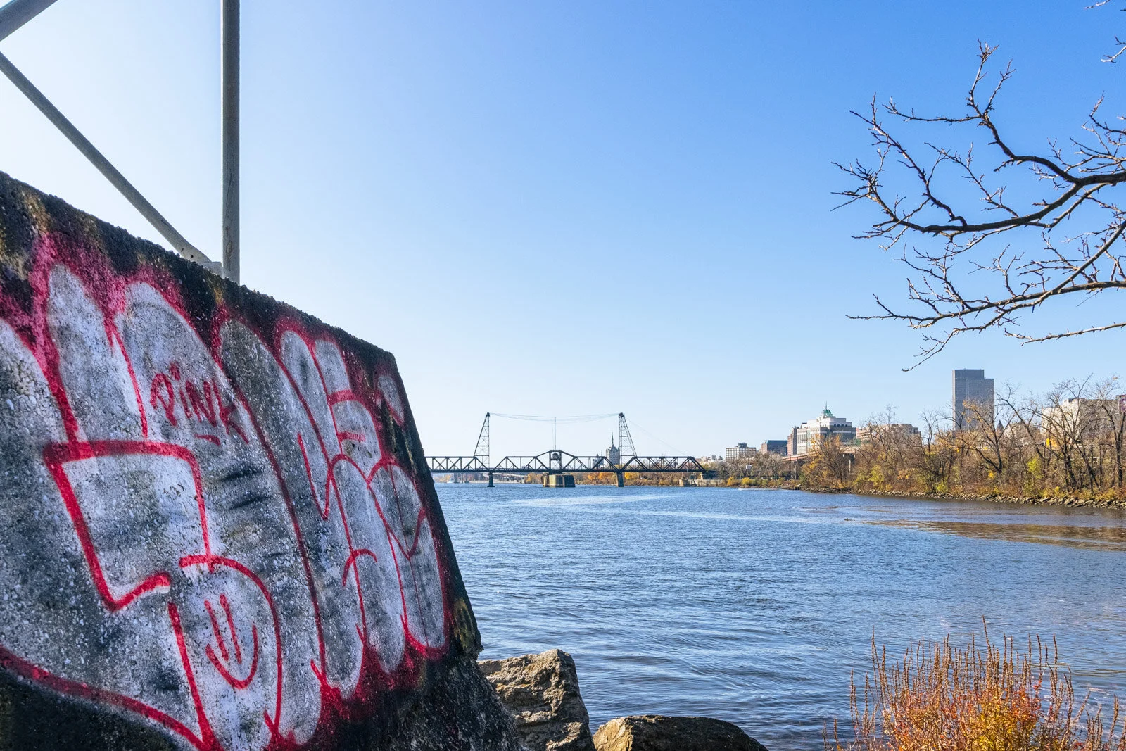20201106-3Q8A2805-HDR.jpg