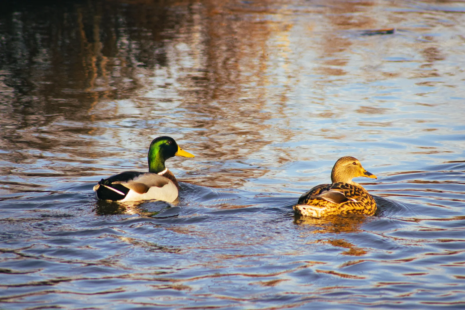 20201201-3Q8A4175.jpg