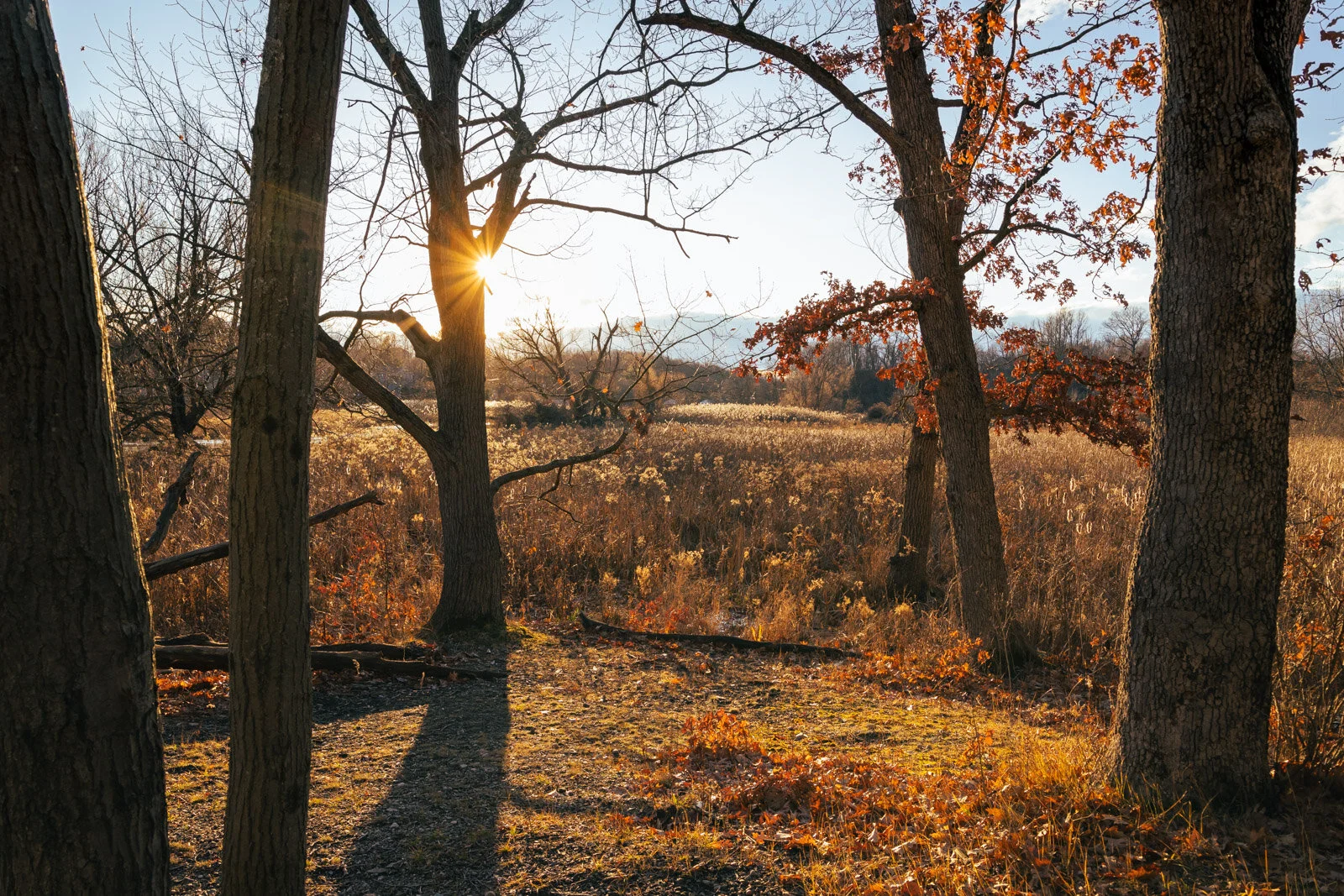 20201201-3Q8A4237.jpg