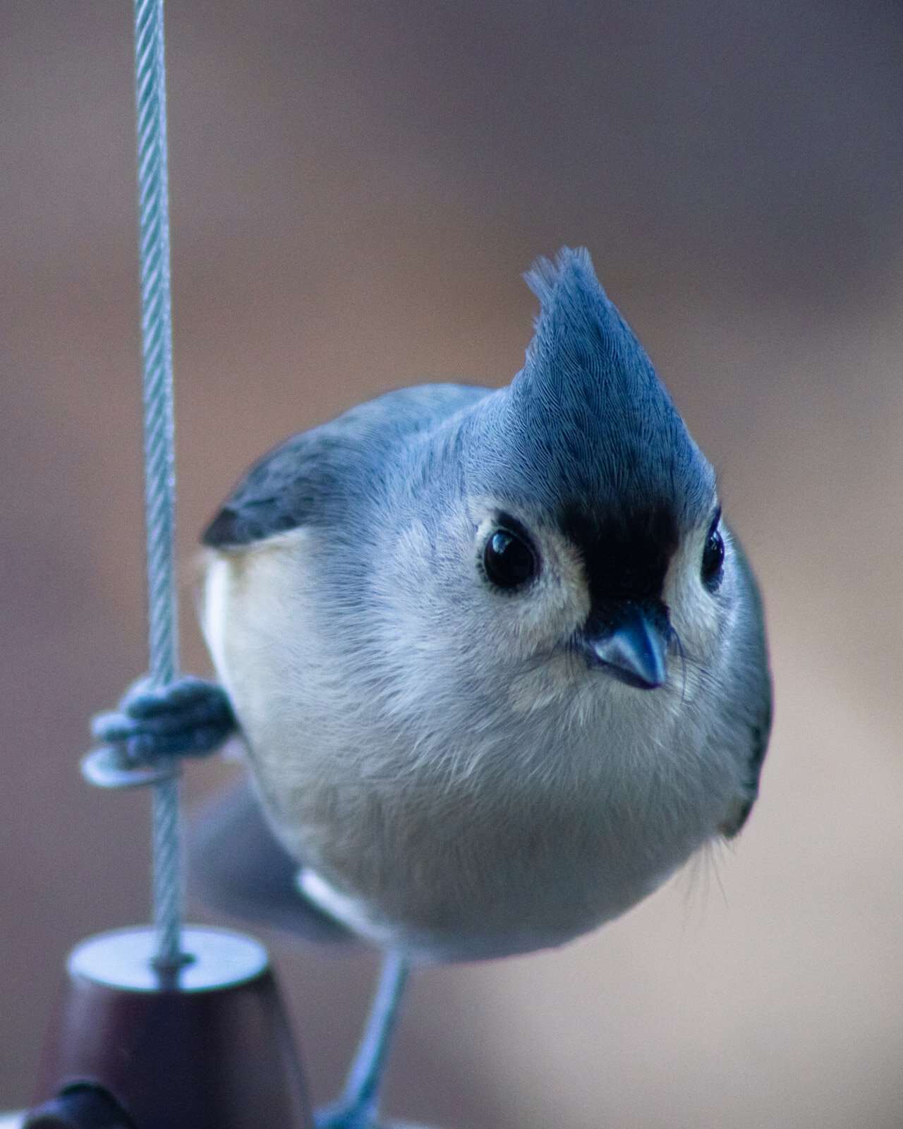 20201204-3Q8A4553.jpg