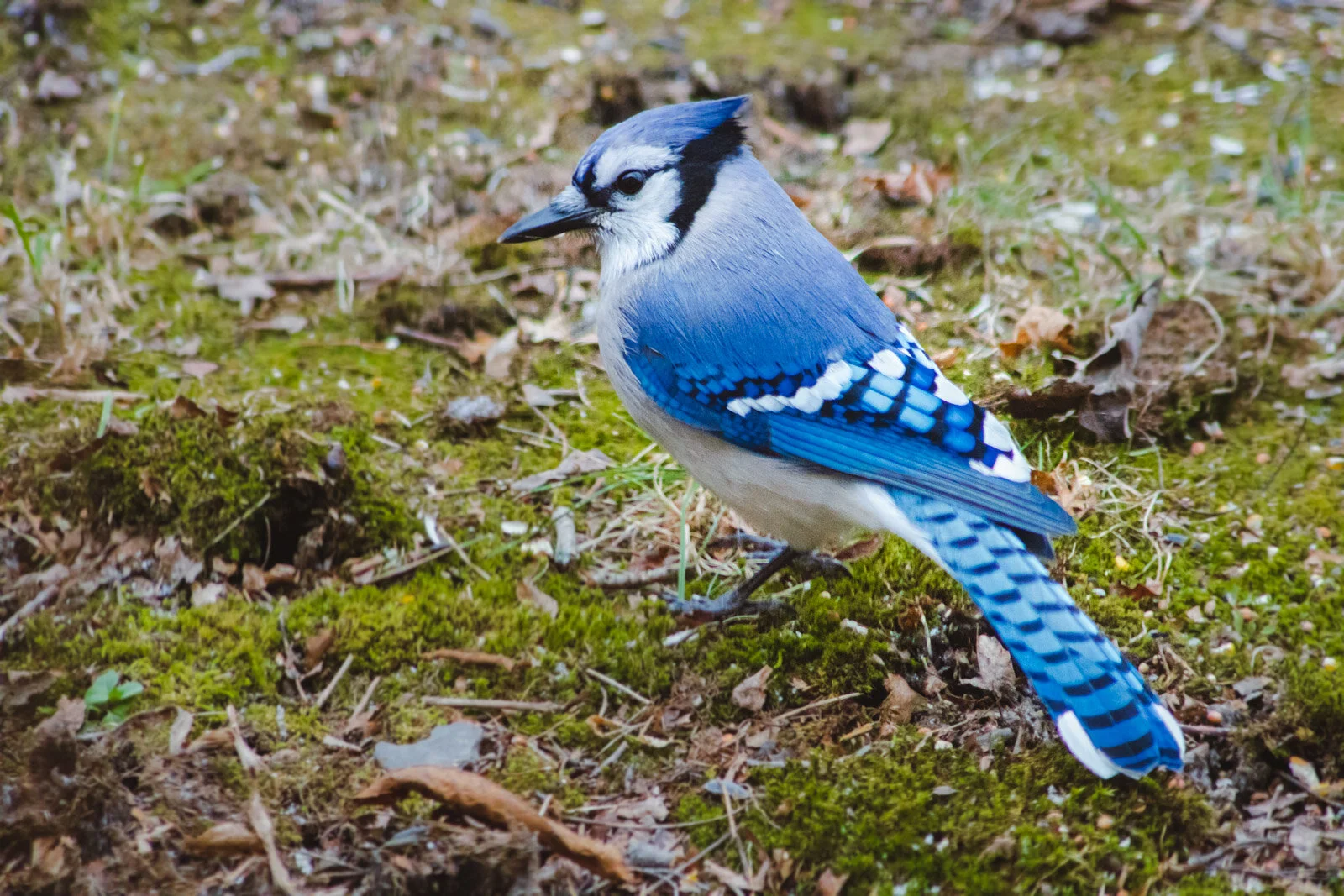 20201208-3Q8A4979.jpg