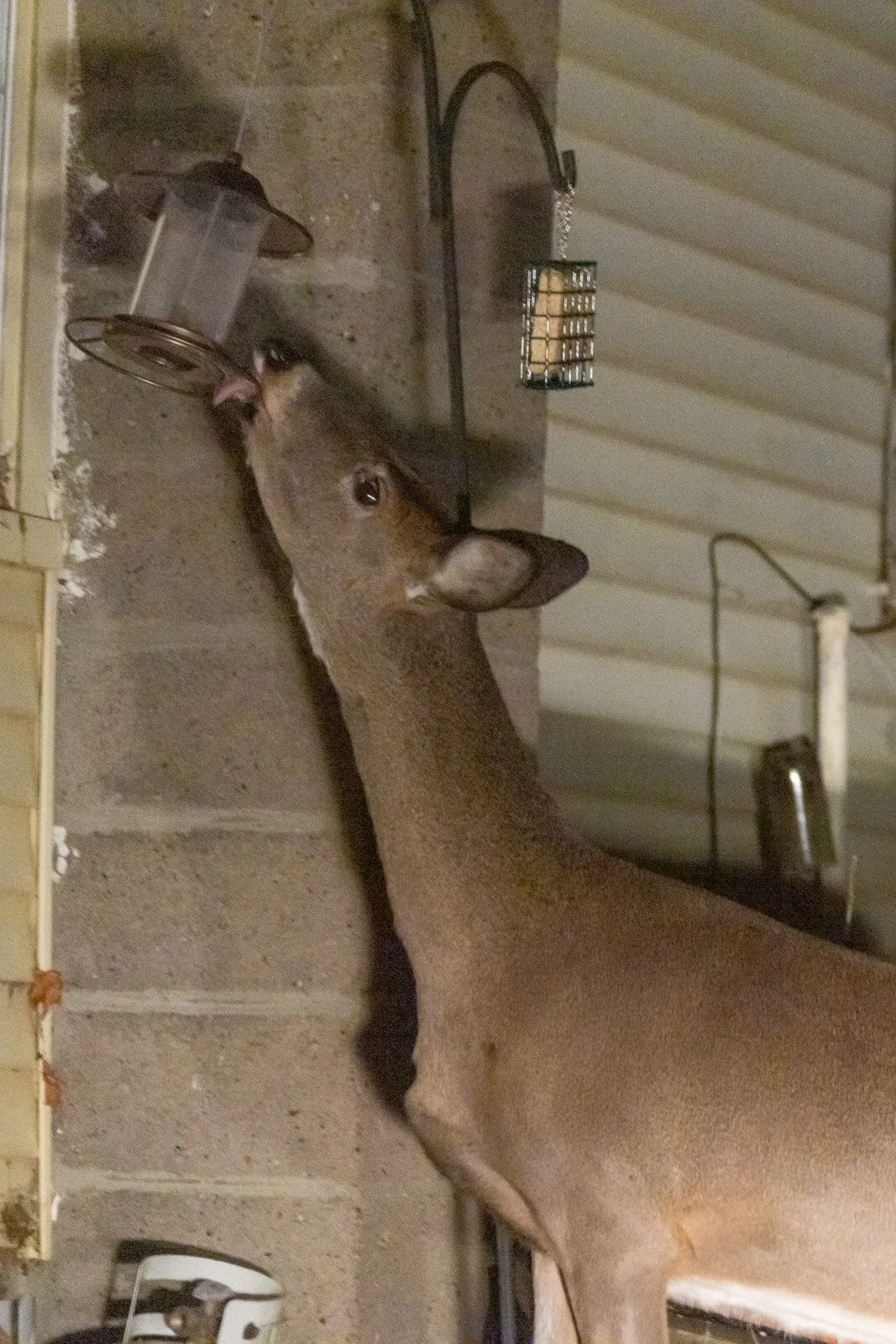 20201204-3Q8A4524.jpg