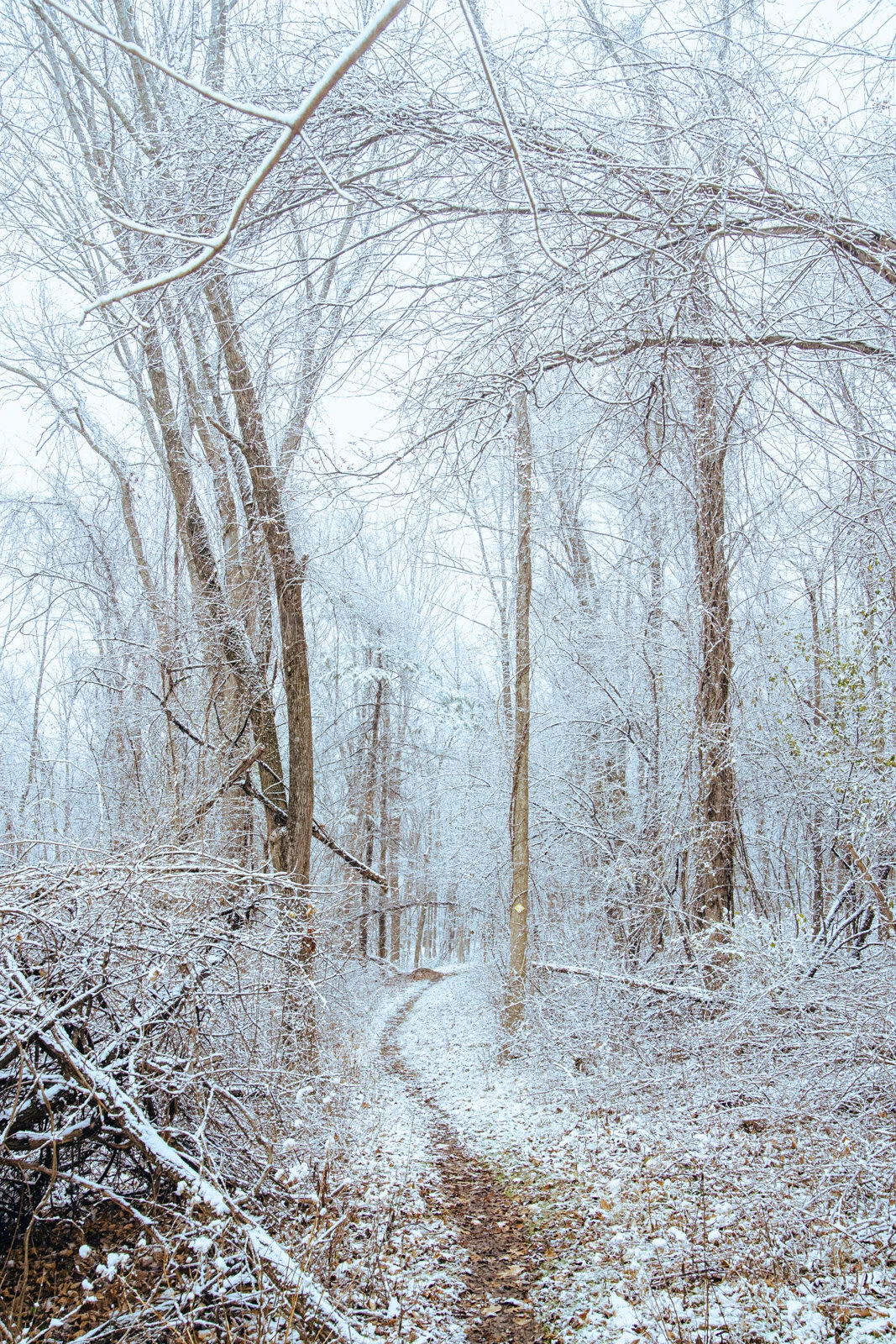 20201214-3Q8A5403.jpg