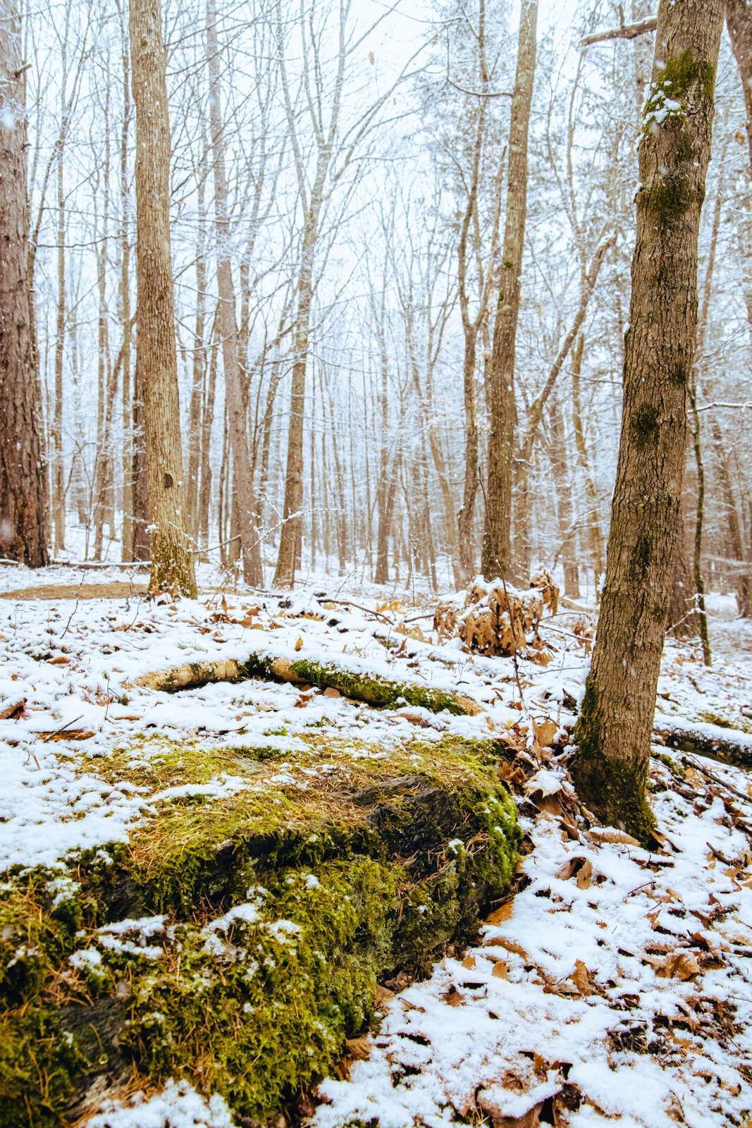 20201214-3Q8A5485.jpg
