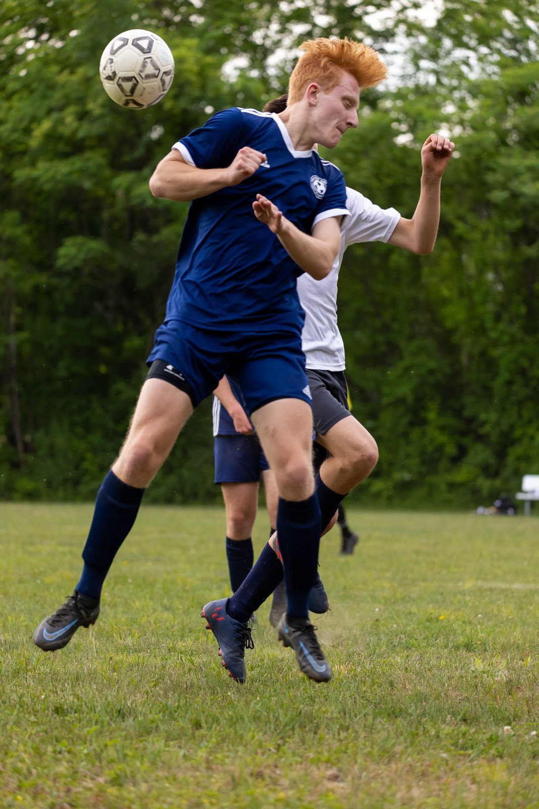 fccvm-12.jpg