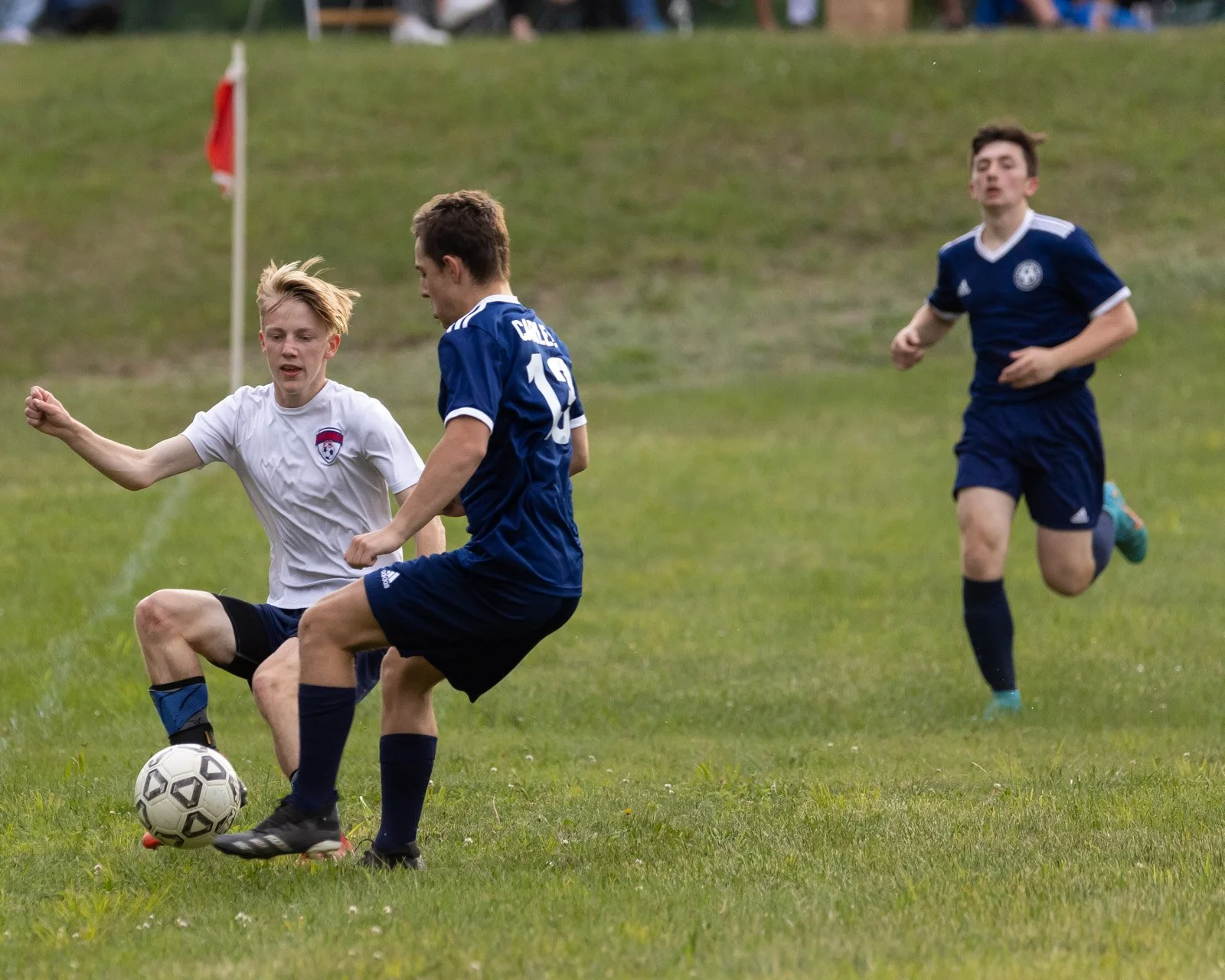 fccvm-24.jpg