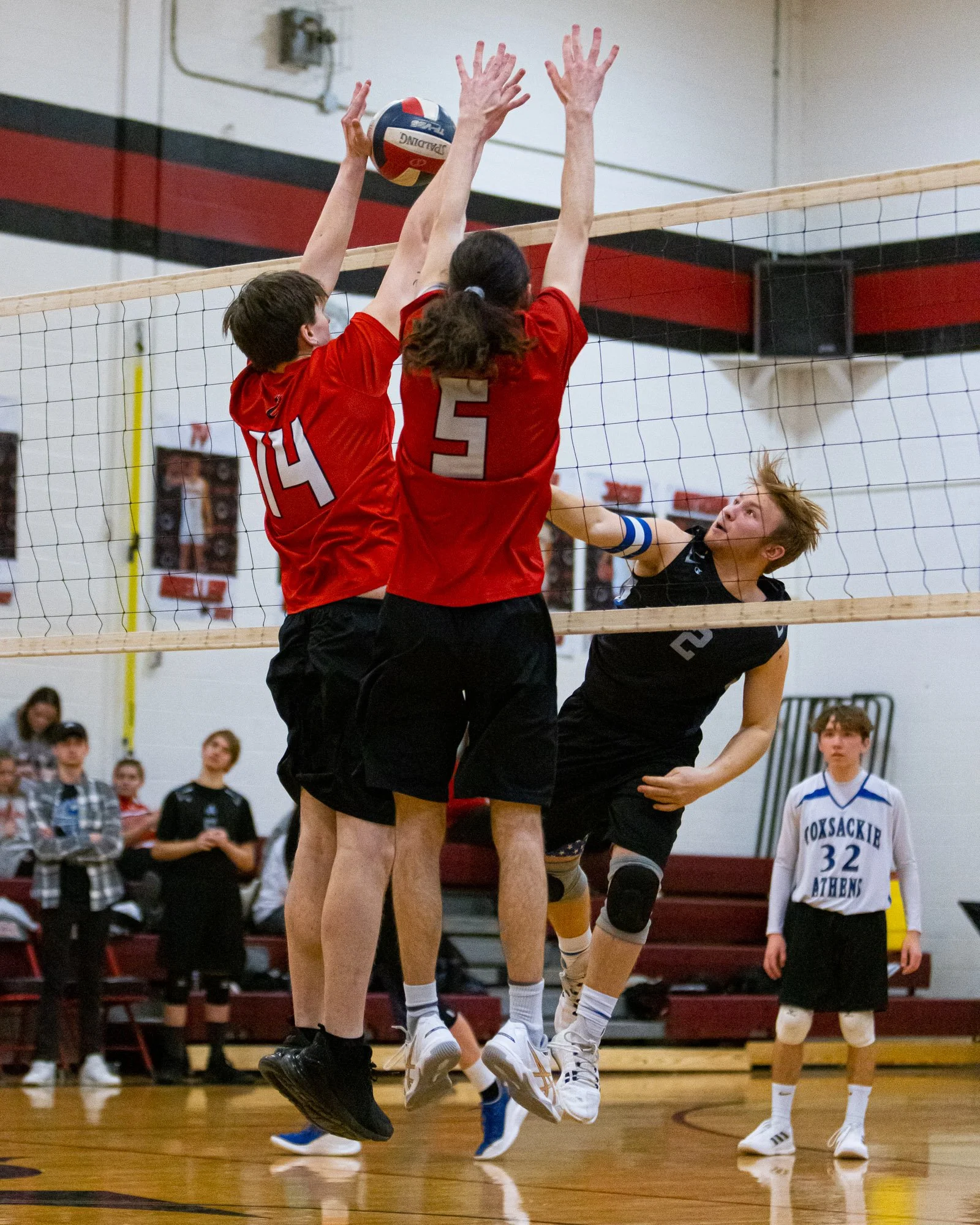 cavccs-14.jpg