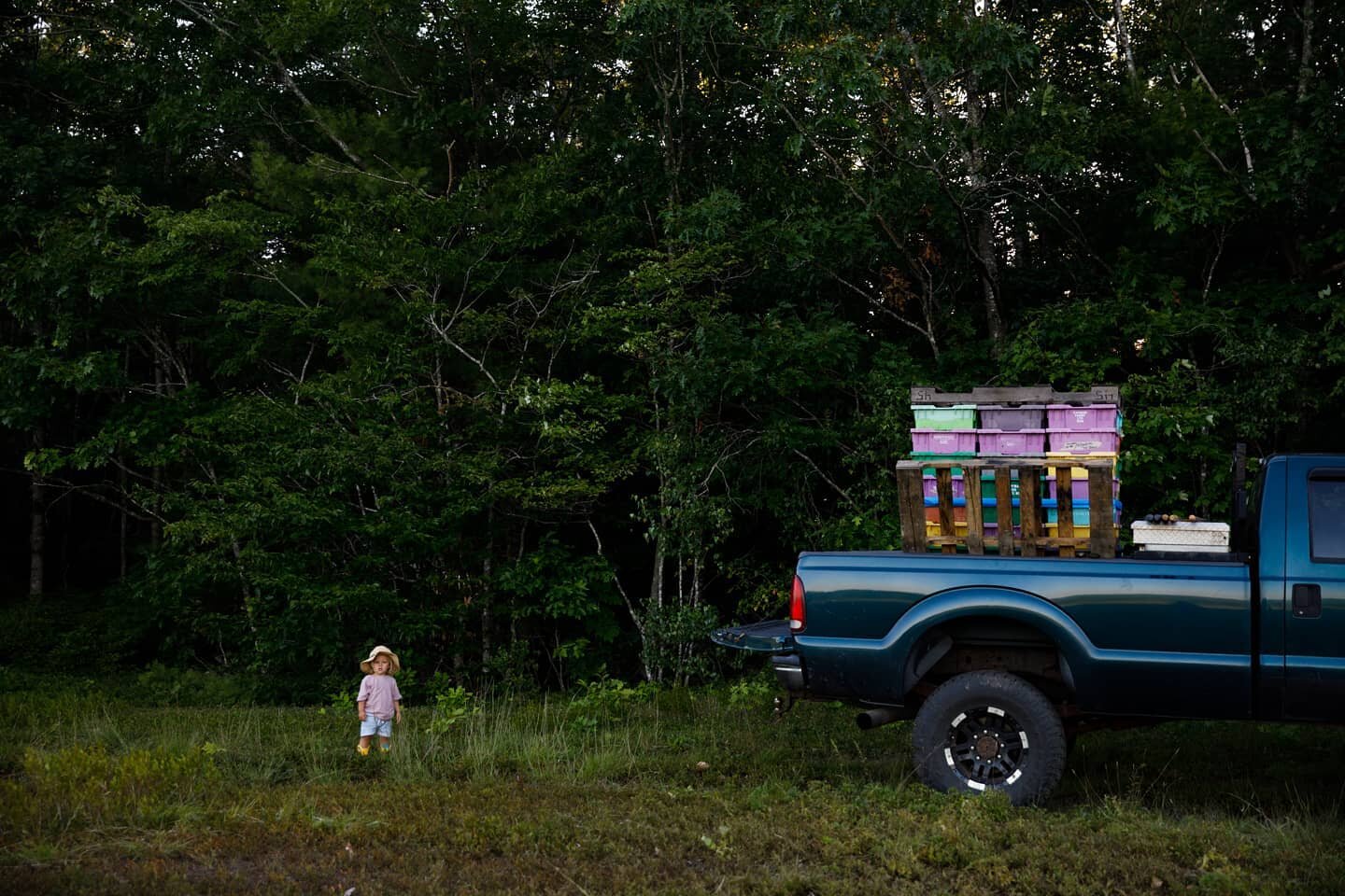 We will be in Portland delivering blueberries on Tuesday this week. Get your orders in today if you'd like to us to include your berries on the truck 🚚 🚛 
.
.
.
📷 @bluehorsephoto
#wildmaineblueberries #wildblueberries #maine #mainefarmers #mainefo