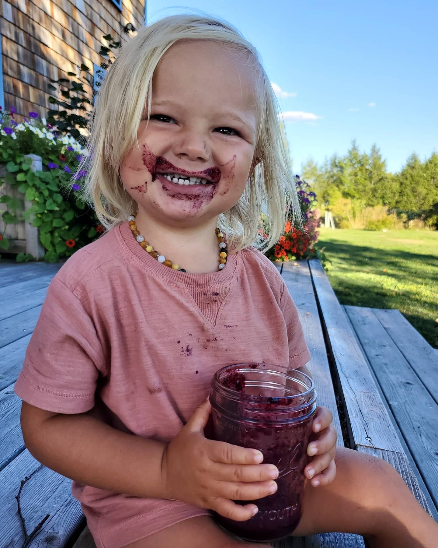 We have been hearing a lot about these &quot;uncertain times&quot;. One thing we are certain about is that wild blueberries is one of the easiest and delicious ways to support your immune system and probably the most important thing to do during a pa