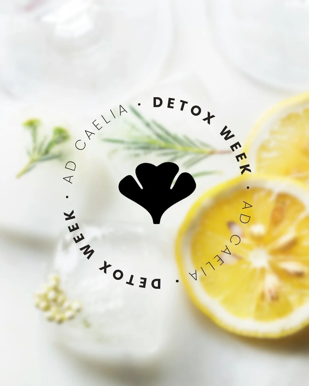 | CONCOURS | Ad CAELIA X MAISON LE FEVRE ✨

Comme vous le savez depuis plusieurs mois maintenant, Maison Le Fevre accueille dans son studio les soins exceptionnels d&rsquo;Ad CAELIA.

Dans le prolongement d&rsquo;une approche experte et sans concessi