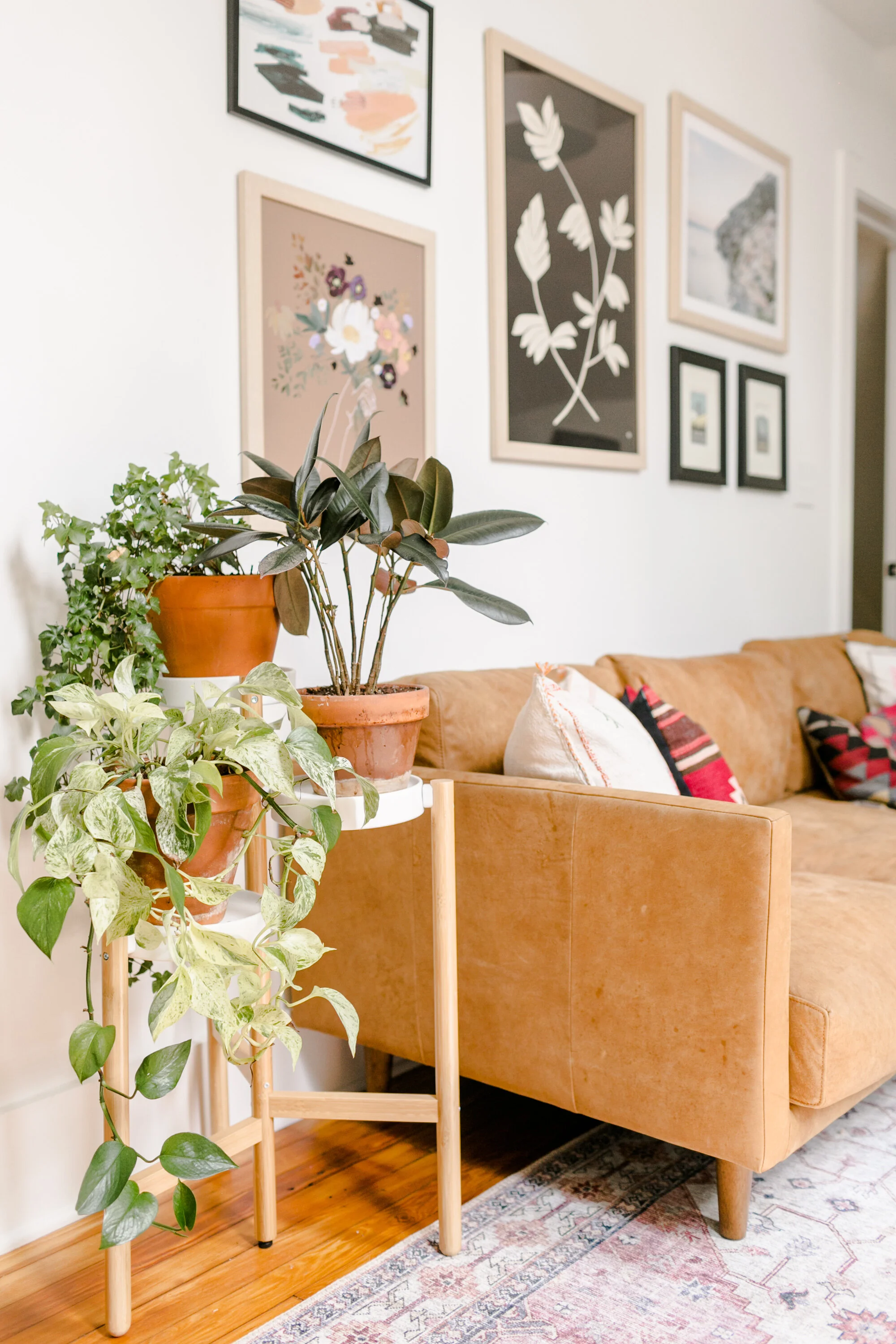 AptTherapy_AKelly_AndiTeggartHome-059.JPG