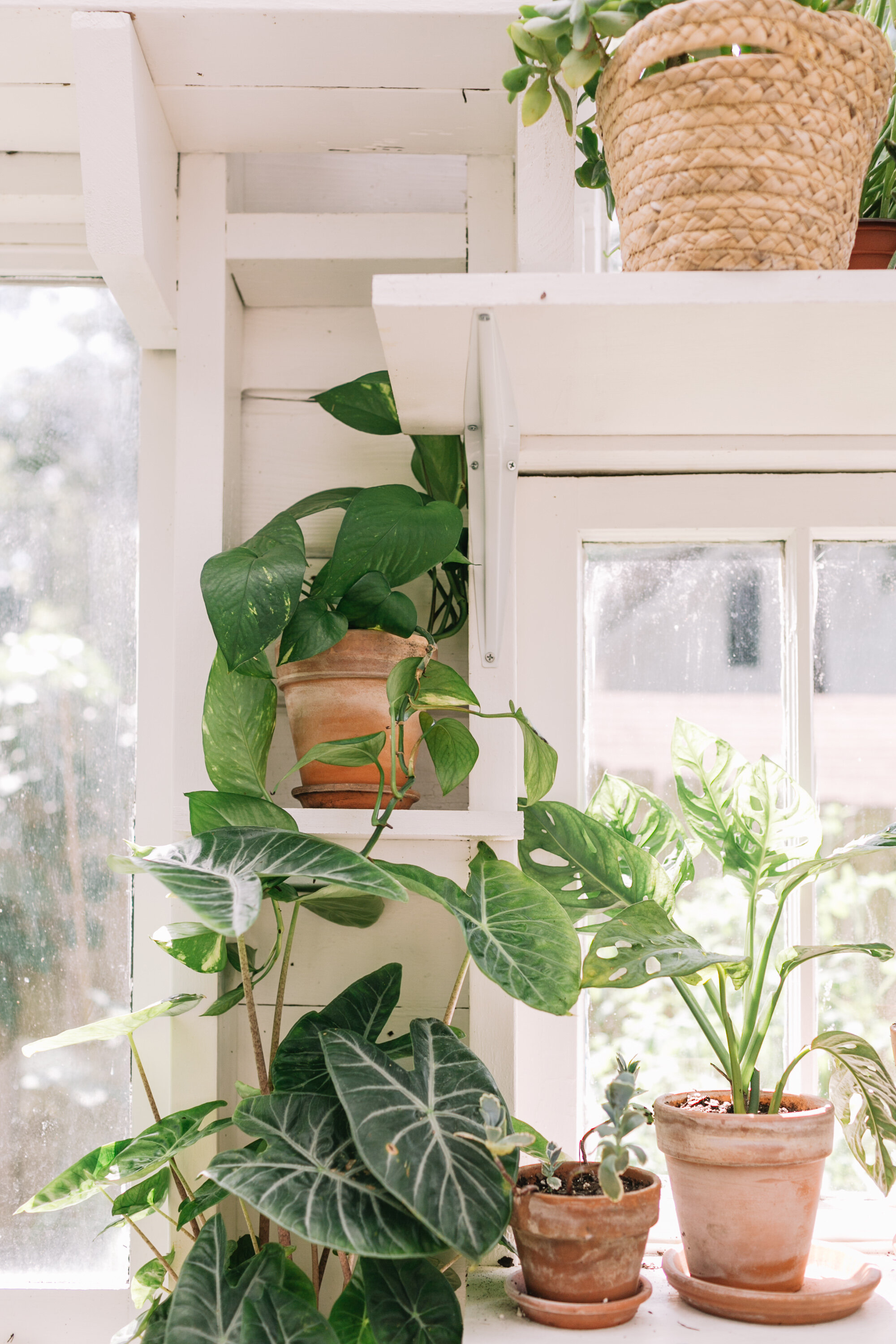 AptTherapy_AKelly_AndiTeggartHome-092.JPG