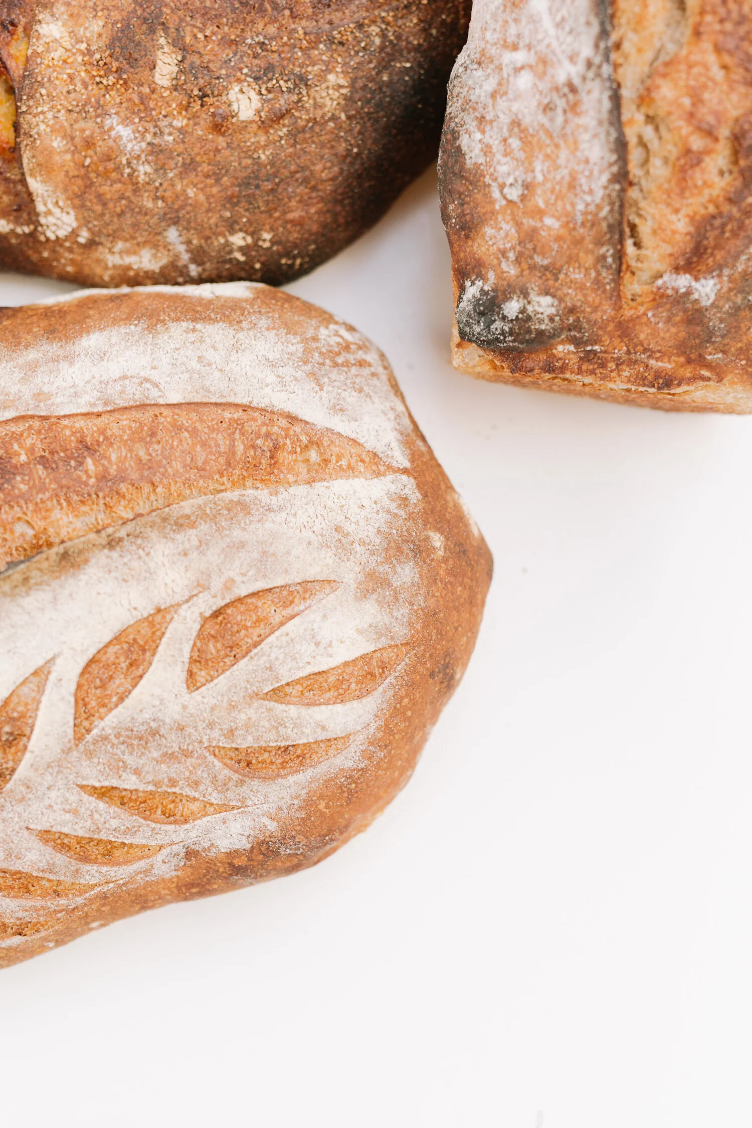 FDB_Bread_Cafe_Aulmer-003.JPG