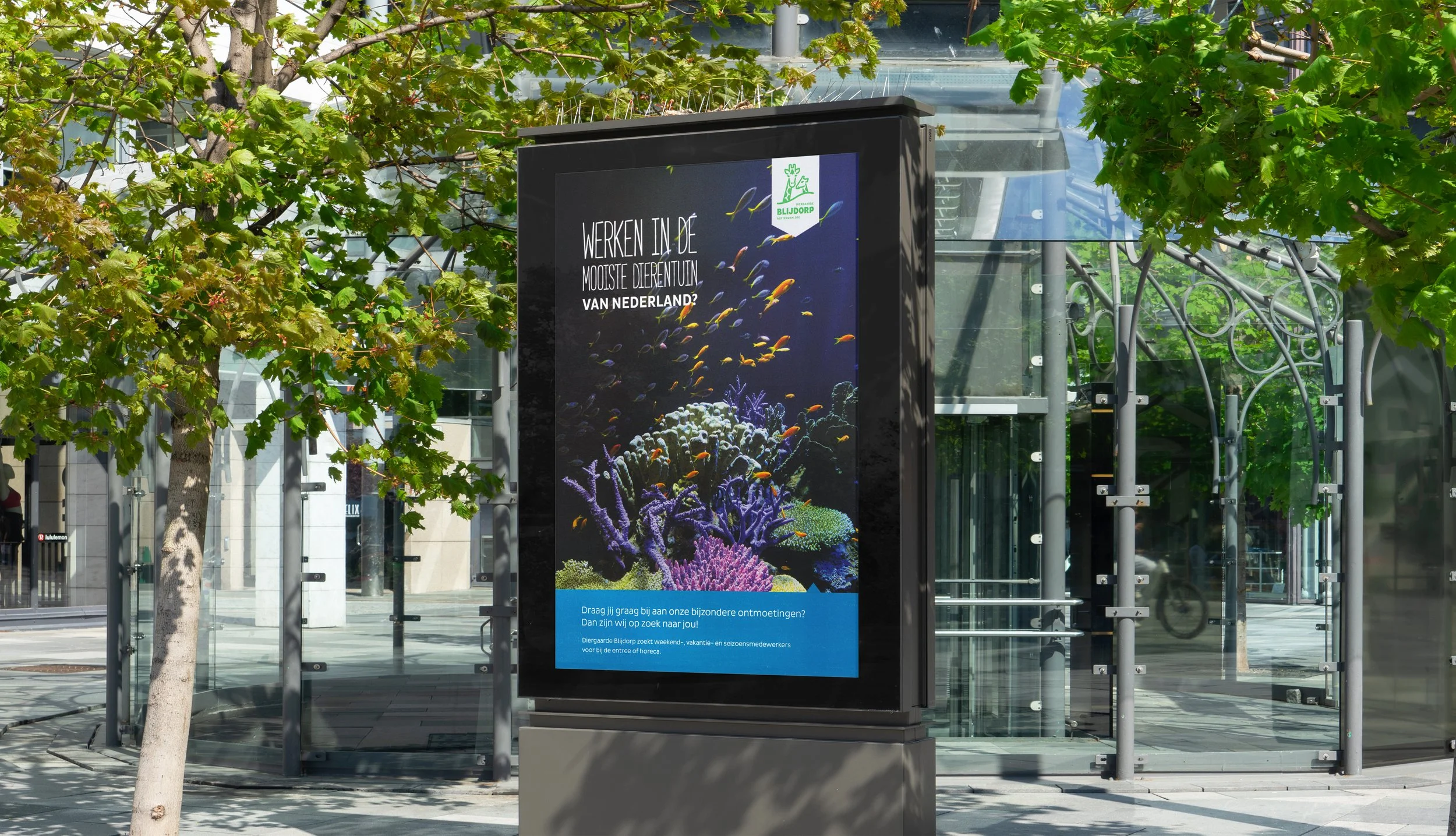 Free Lightbox in the City Mockup.jpg