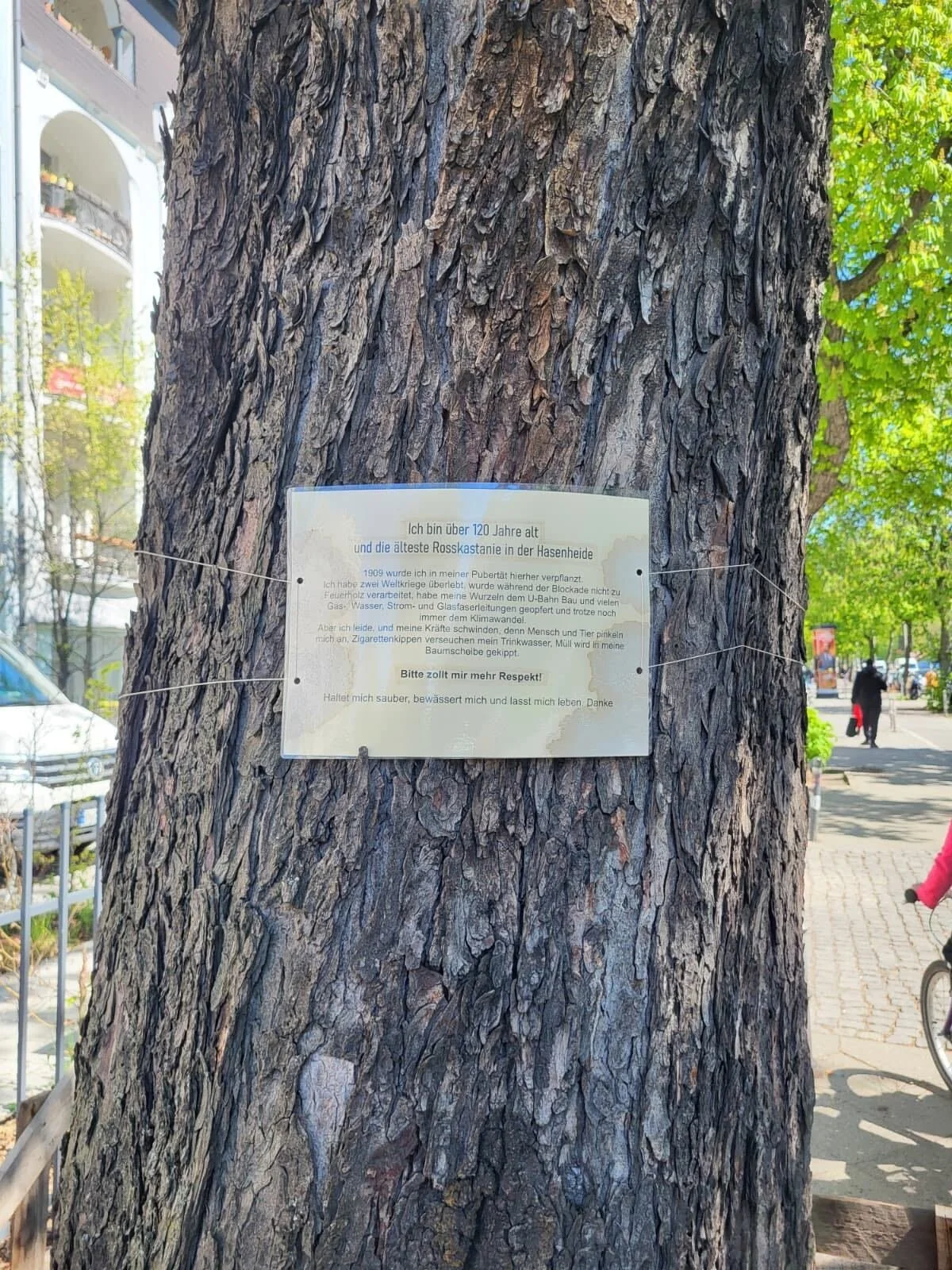 Lessons from Abroad — SMART FELLER Treeworks