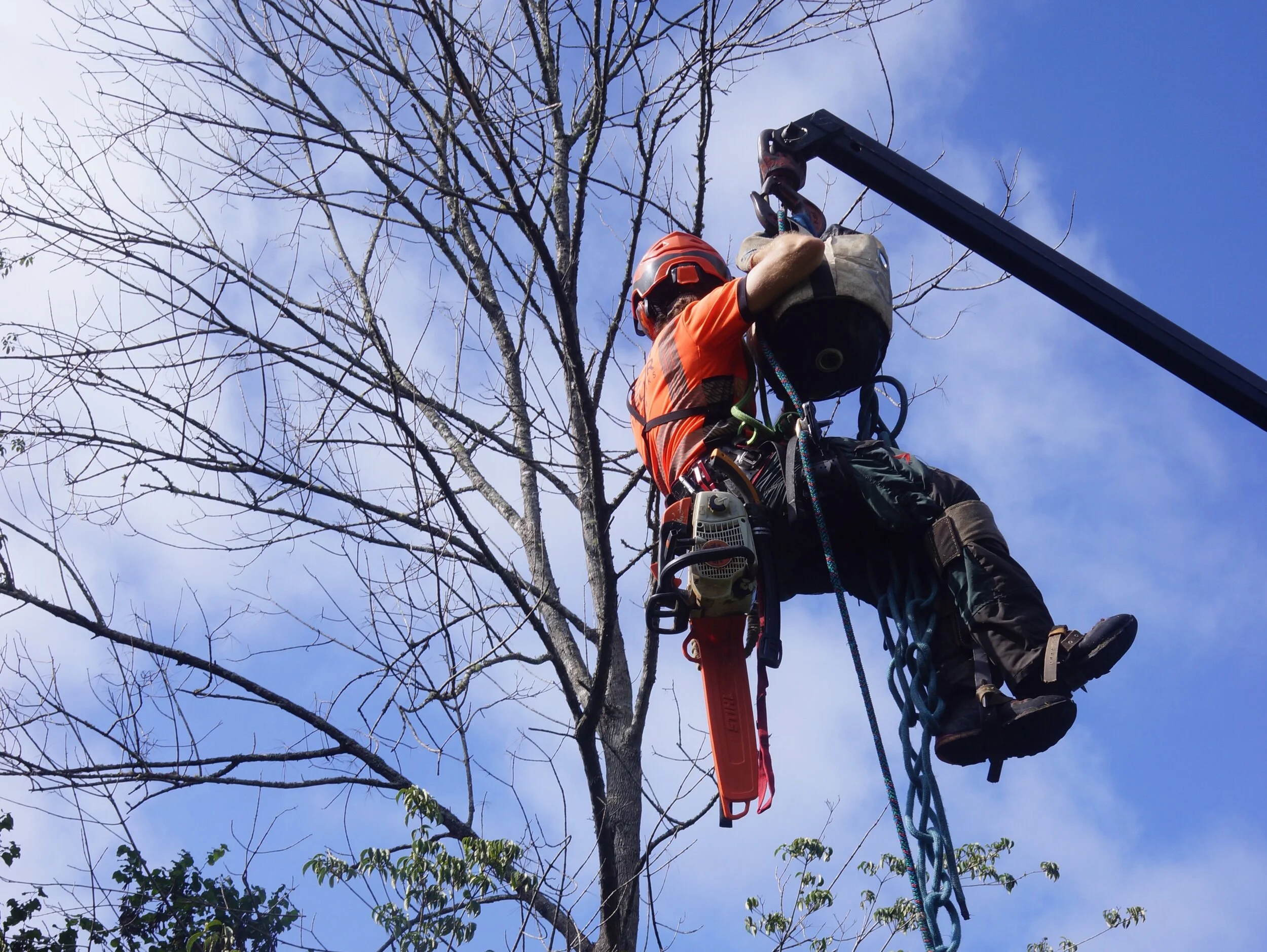 JPEG image-A05C27B63909-1.jpeg