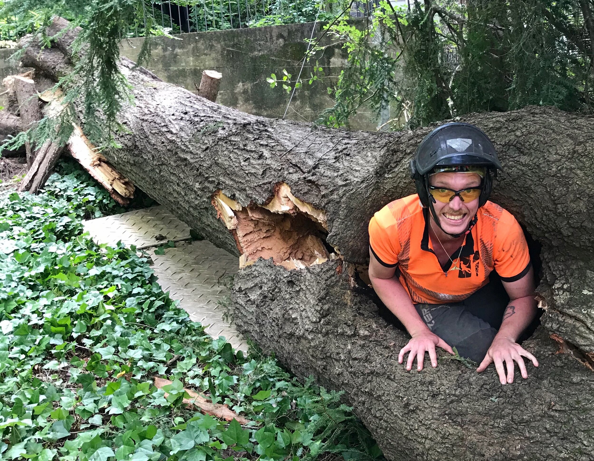 JPEG image-2F6DD3328BB4-1.jpeg