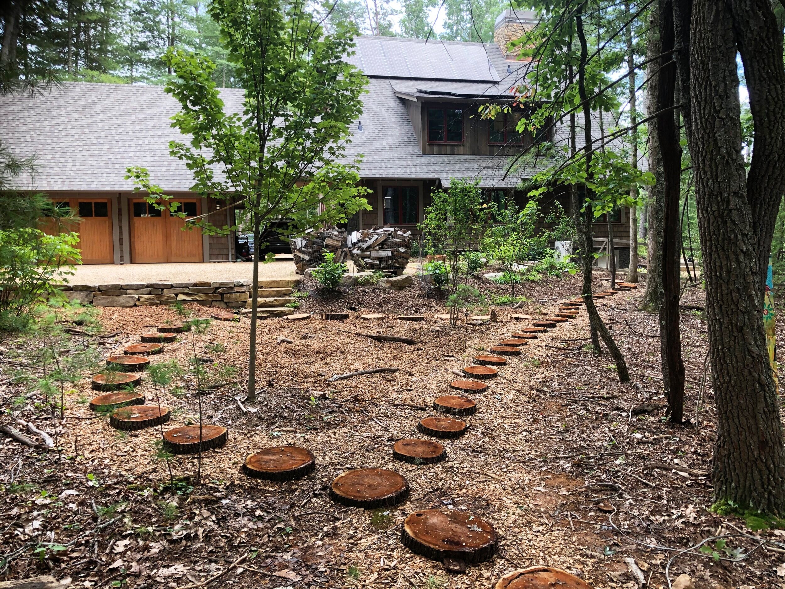 Deadwood_tree_reuse_as_stepping_stones.jpg