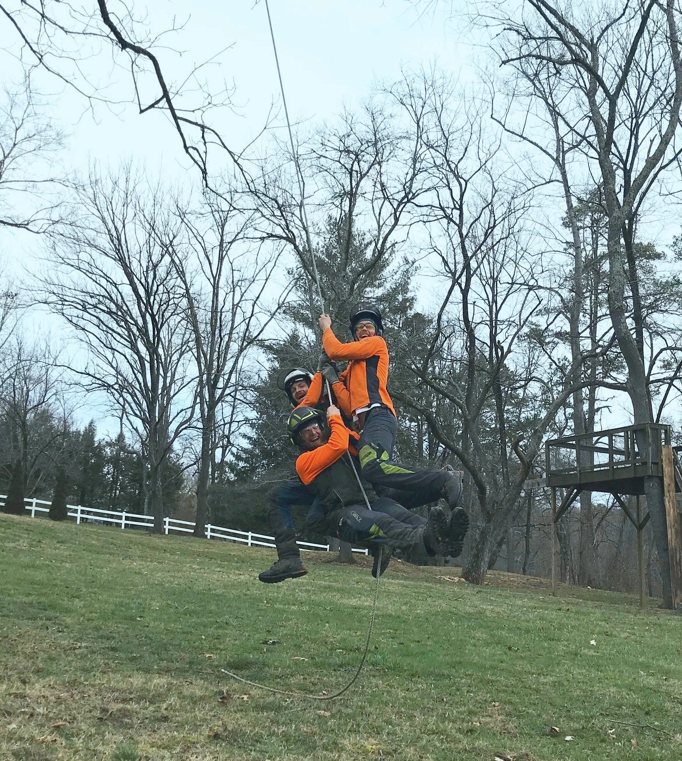 SmartFellerTreeworks_crew_tree_swing.jpg