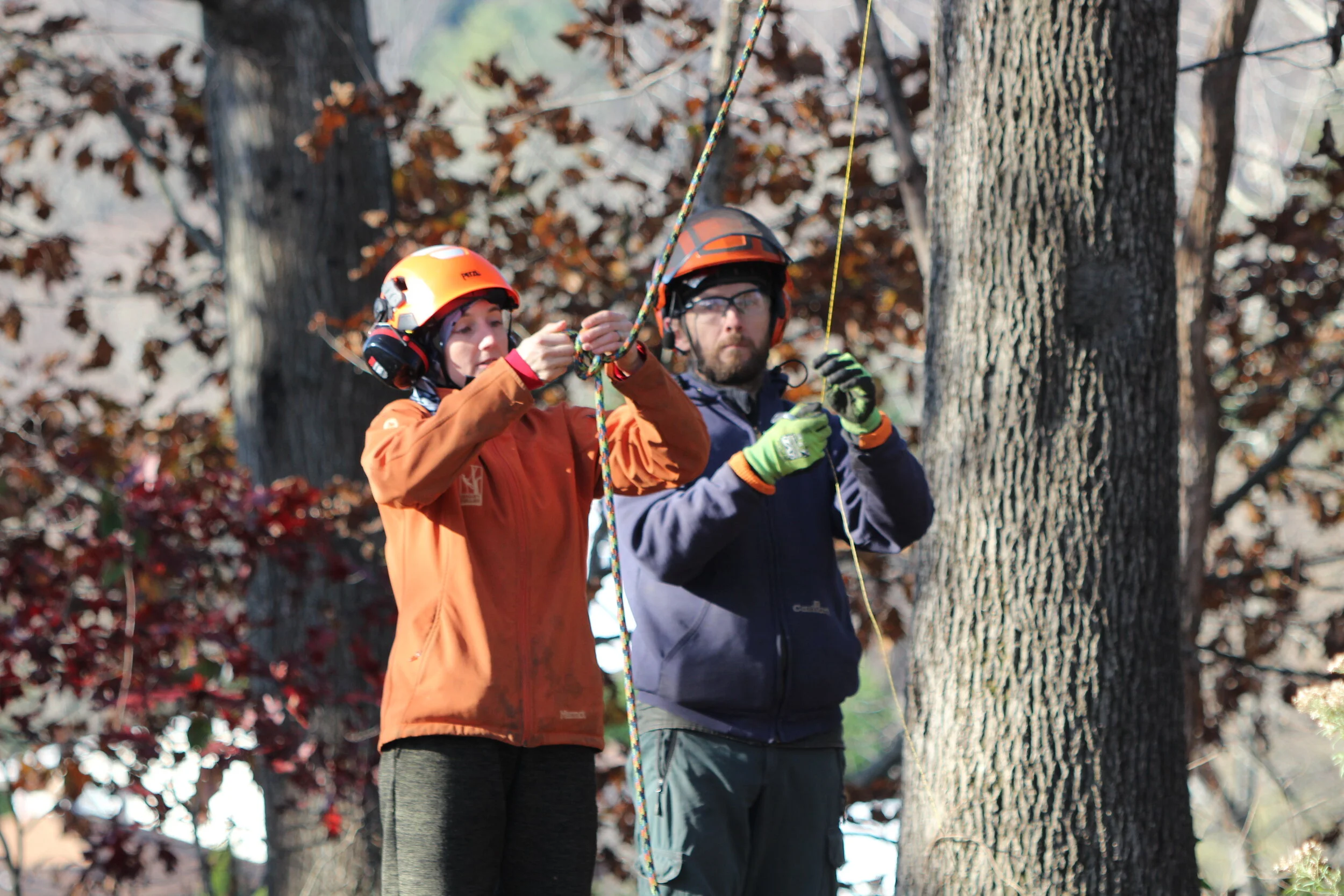 SmartFellerTreeworks_crew_safety_first.JPG