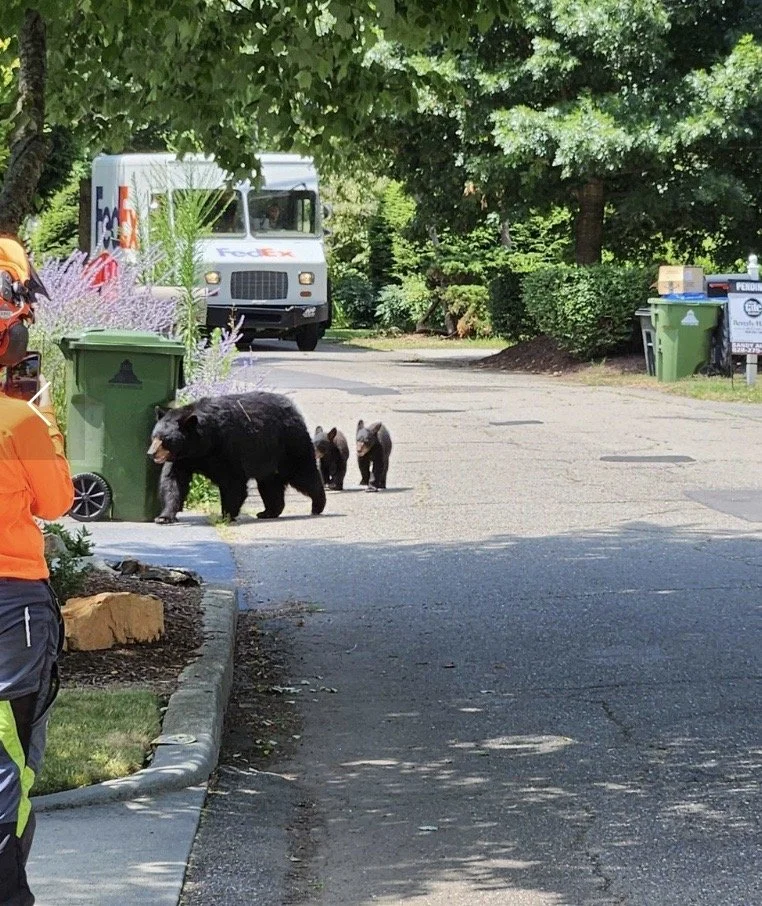 Image 8-31-24 at 10.52 AM.jpeg