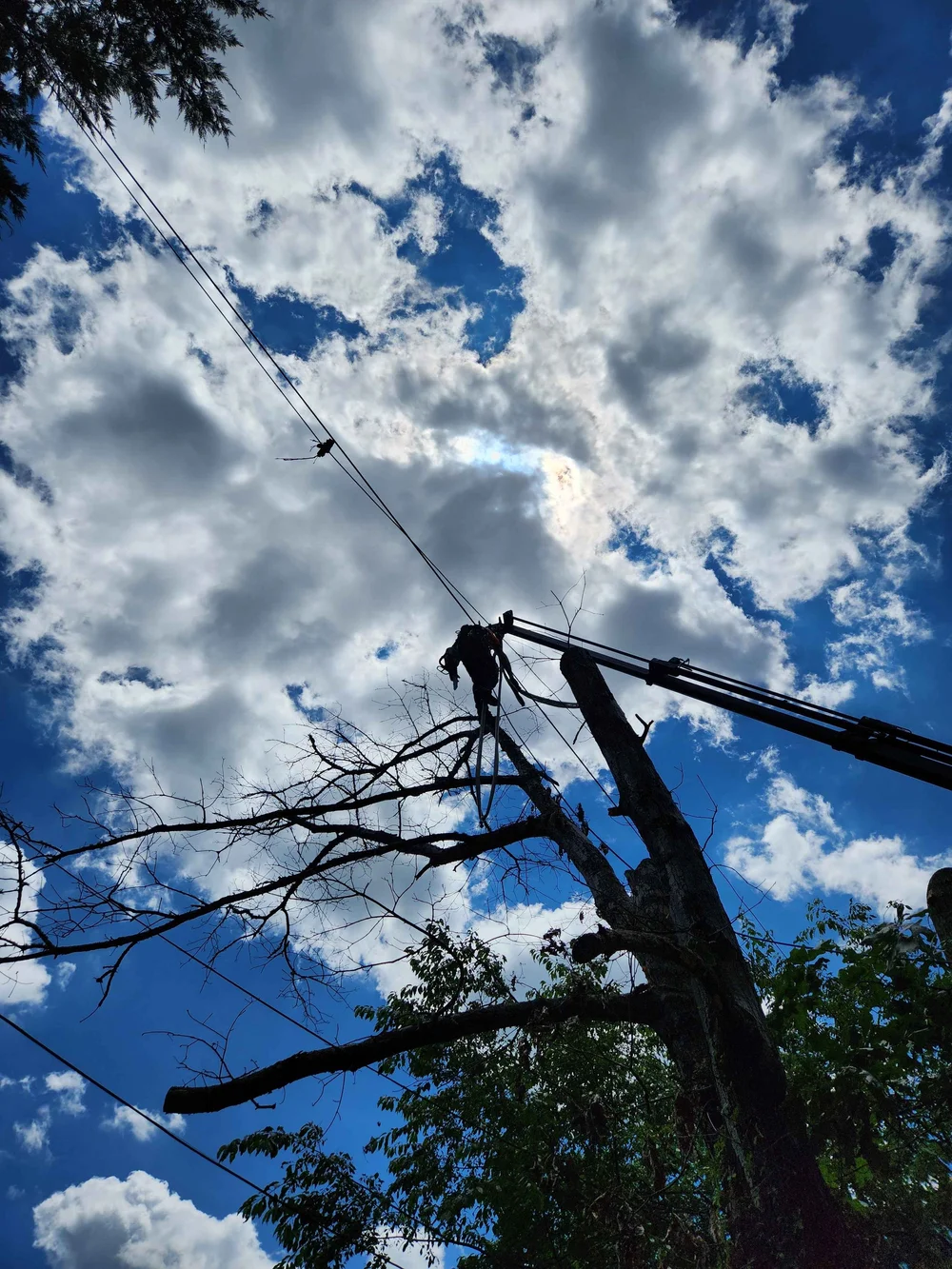 20240624_143556 2.JPG