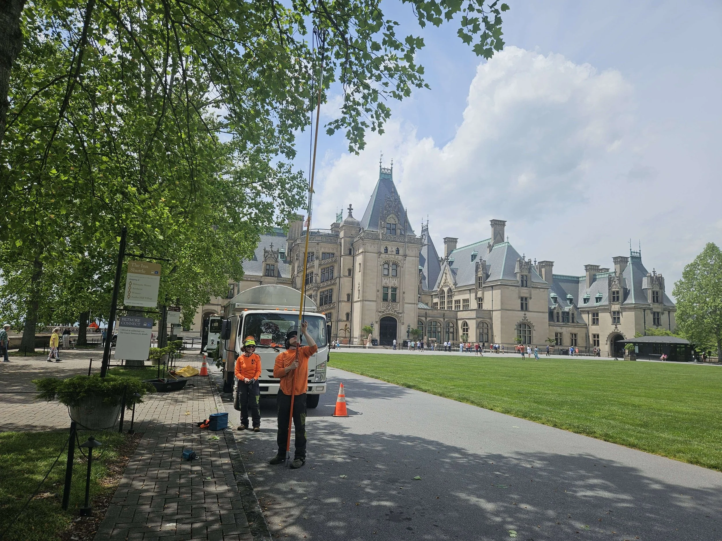 SmartFellerTreeworks_biltmore_June2025.JPG
