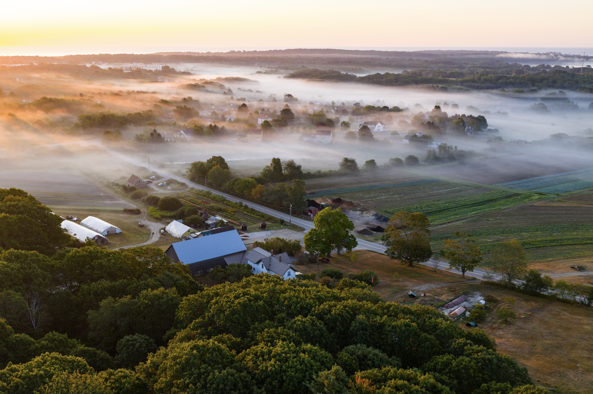 Screen Shot 2026-01-23 at 3.24.58 PM.png