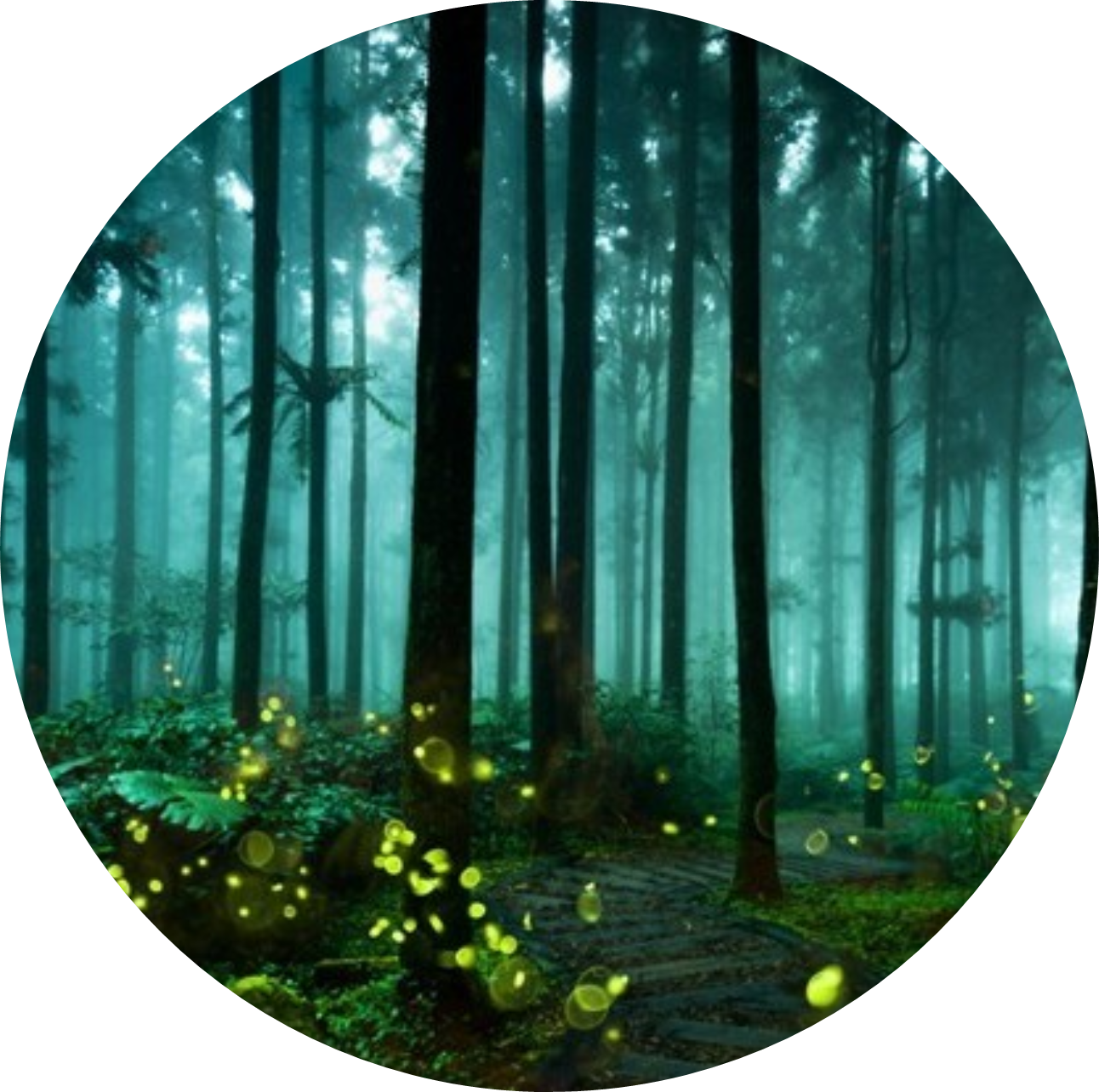 Archetypes Series Session 1: Crossing the Threshold into Celtic Spirituality