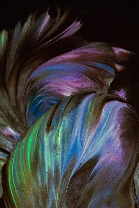 iridescdent colours of purple, blue, black, and green forming a weaving of colours