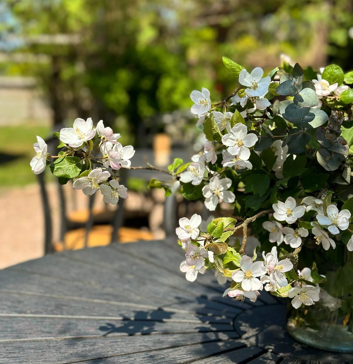 Vår uteservering är verkligen ljuvlig en dag som denna. Njut av en riktigt god middag, kanske ett glas vin & slappna av i solen eller skuggan. 
Gå gärna och kika runt i vår trädgård, fråga om du undra