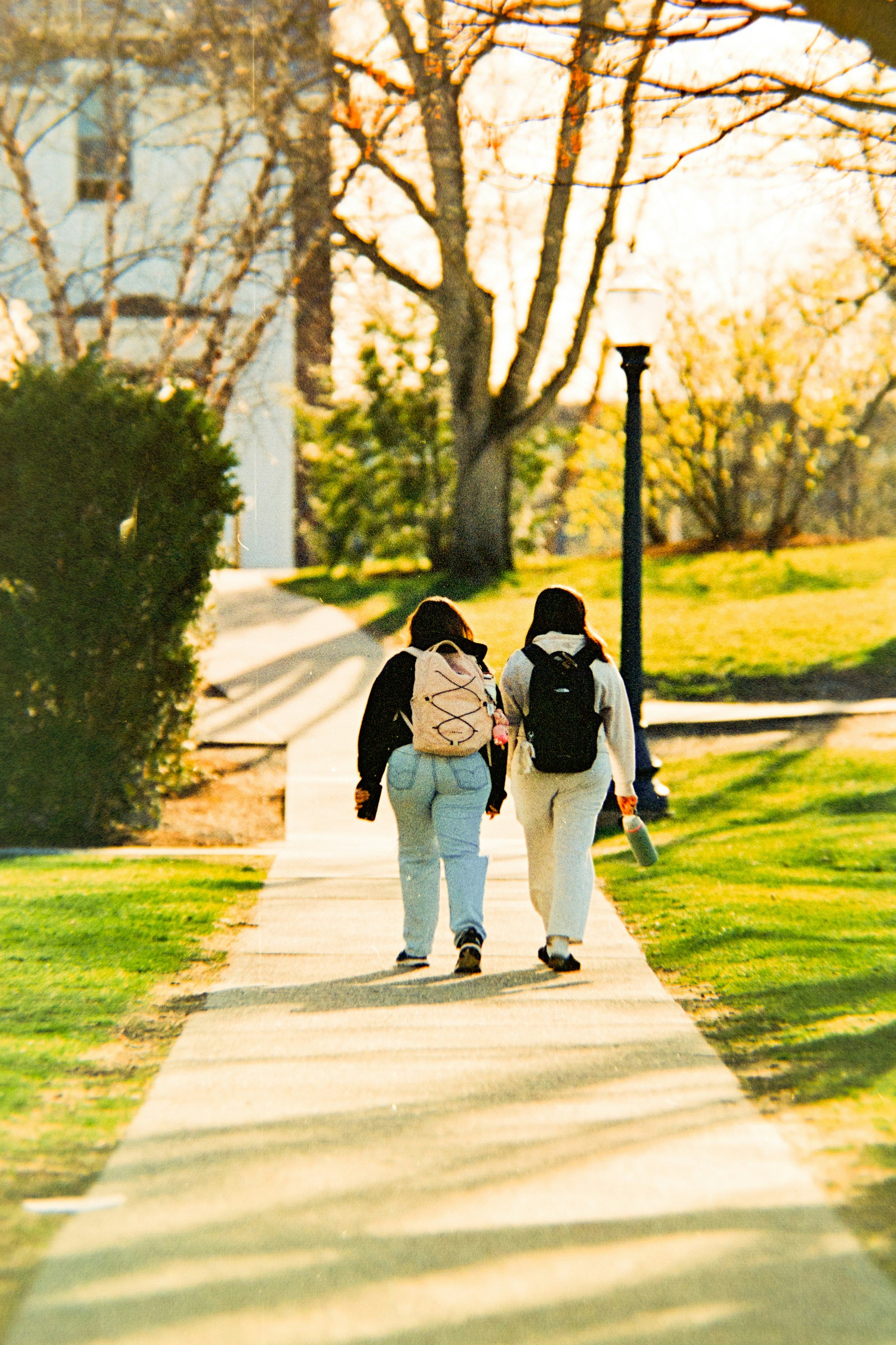 Changing Your Mind in University: A Guide to Taking the Next Step