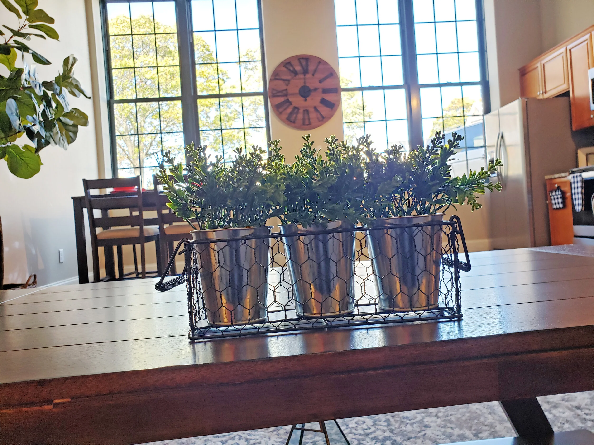 20201105_120044.jpg