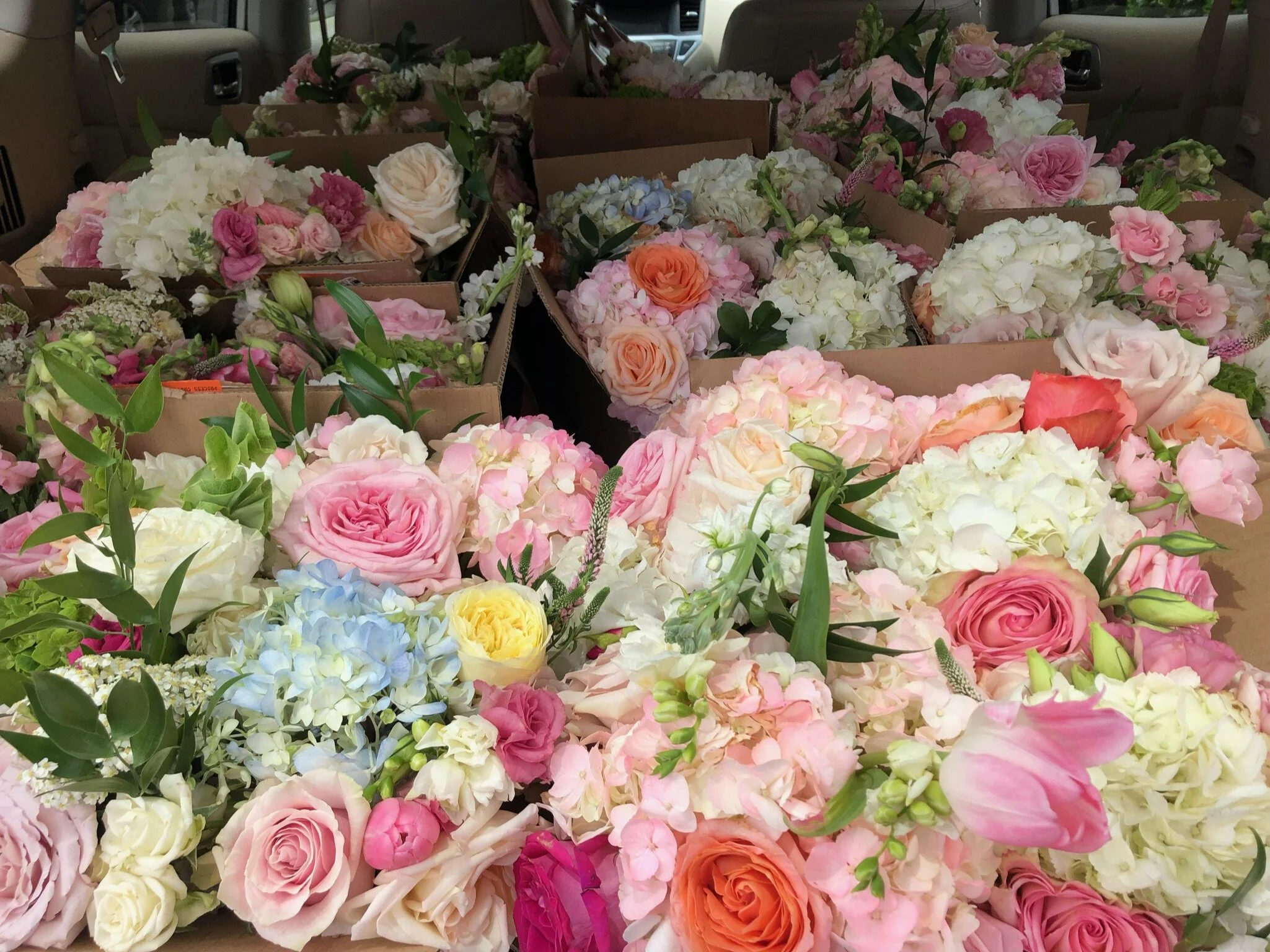 What We Do — 901 Petals of Purpose