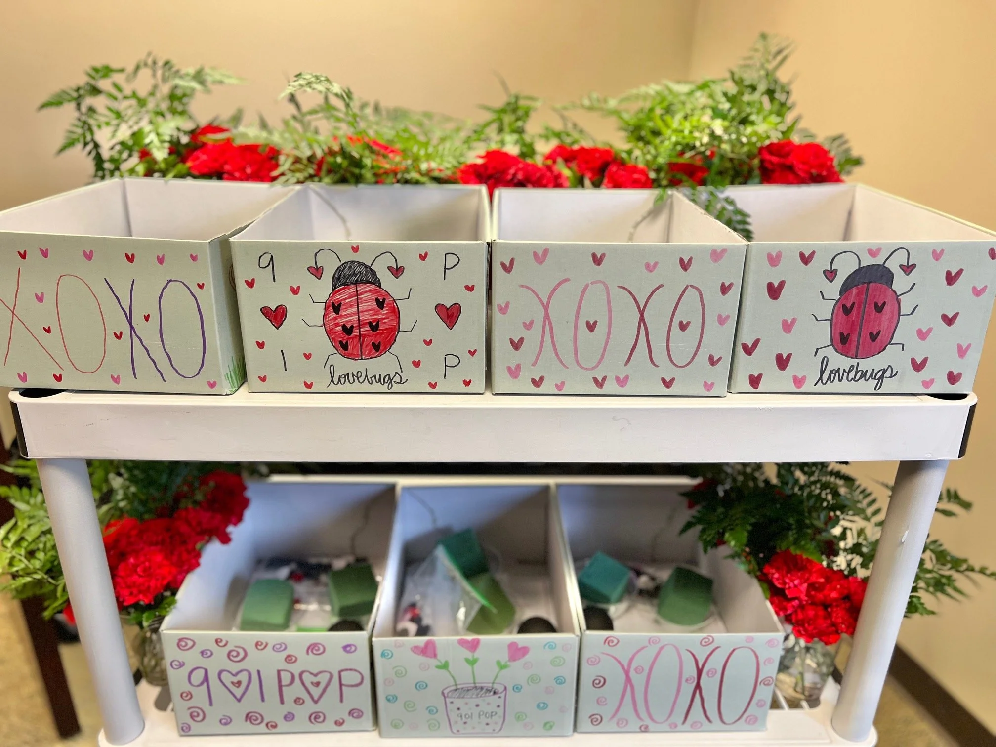 Lovebugs for Ladies- Donate a Kit