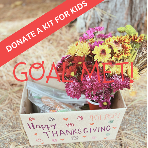 Kit for Kids- Donate a DIY Turkey for Two Kit