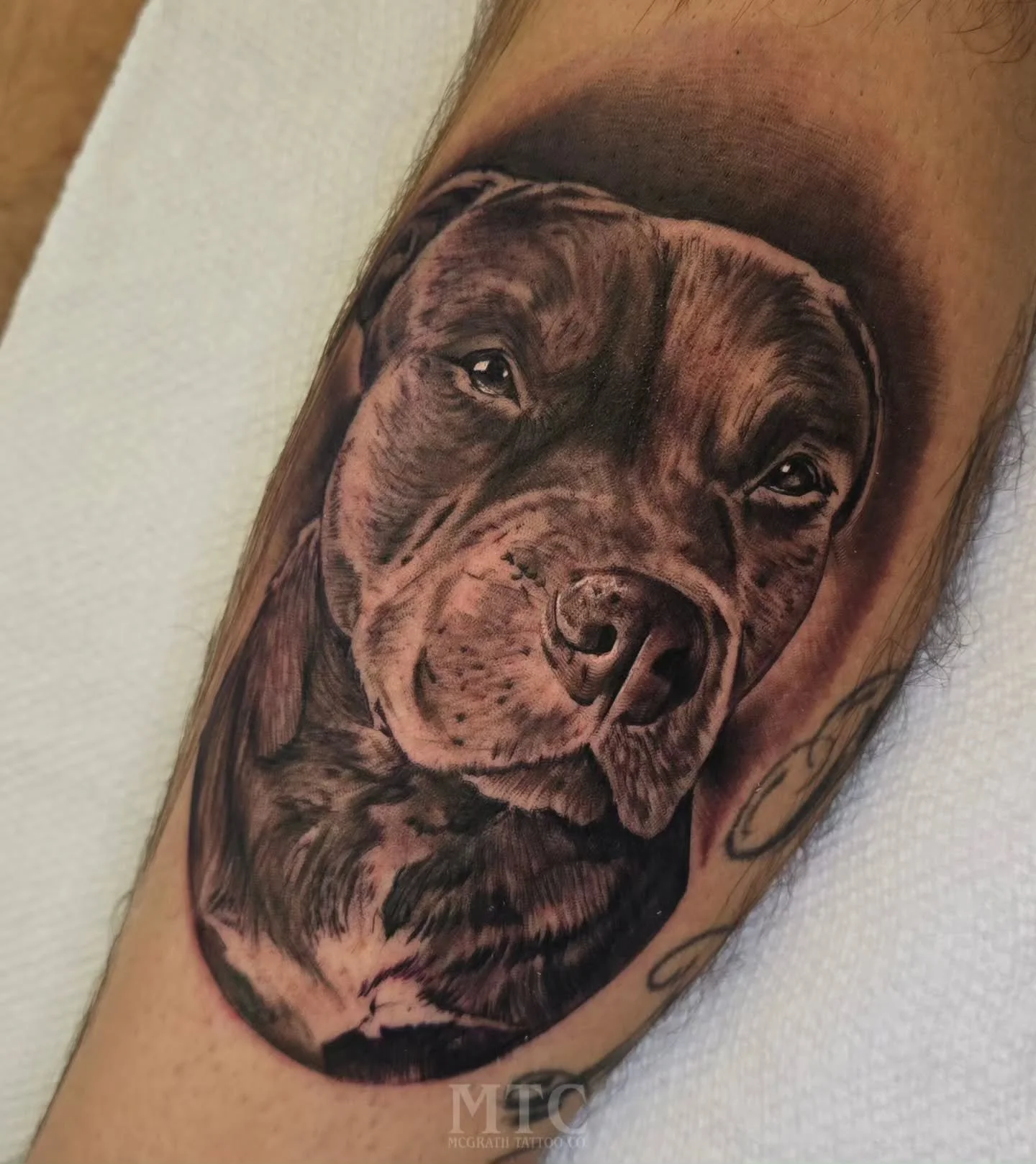 Pet portraits are always fun. Thanks for looking. 
.
.
.
.
.
.
.
Booking info in bio.