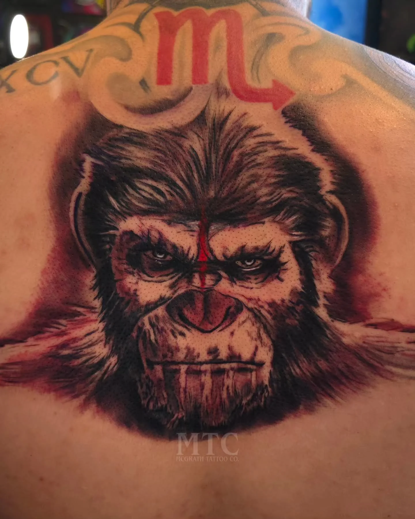 CEASER! 
Great character from a great trilogy. 
Thanks for looking. 
.
.
.
.
.
.
.
Booking info link in bio.