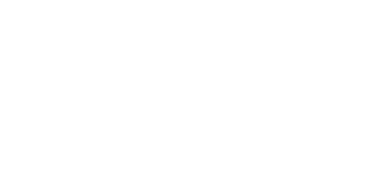 BELLY OF THE BEAST 