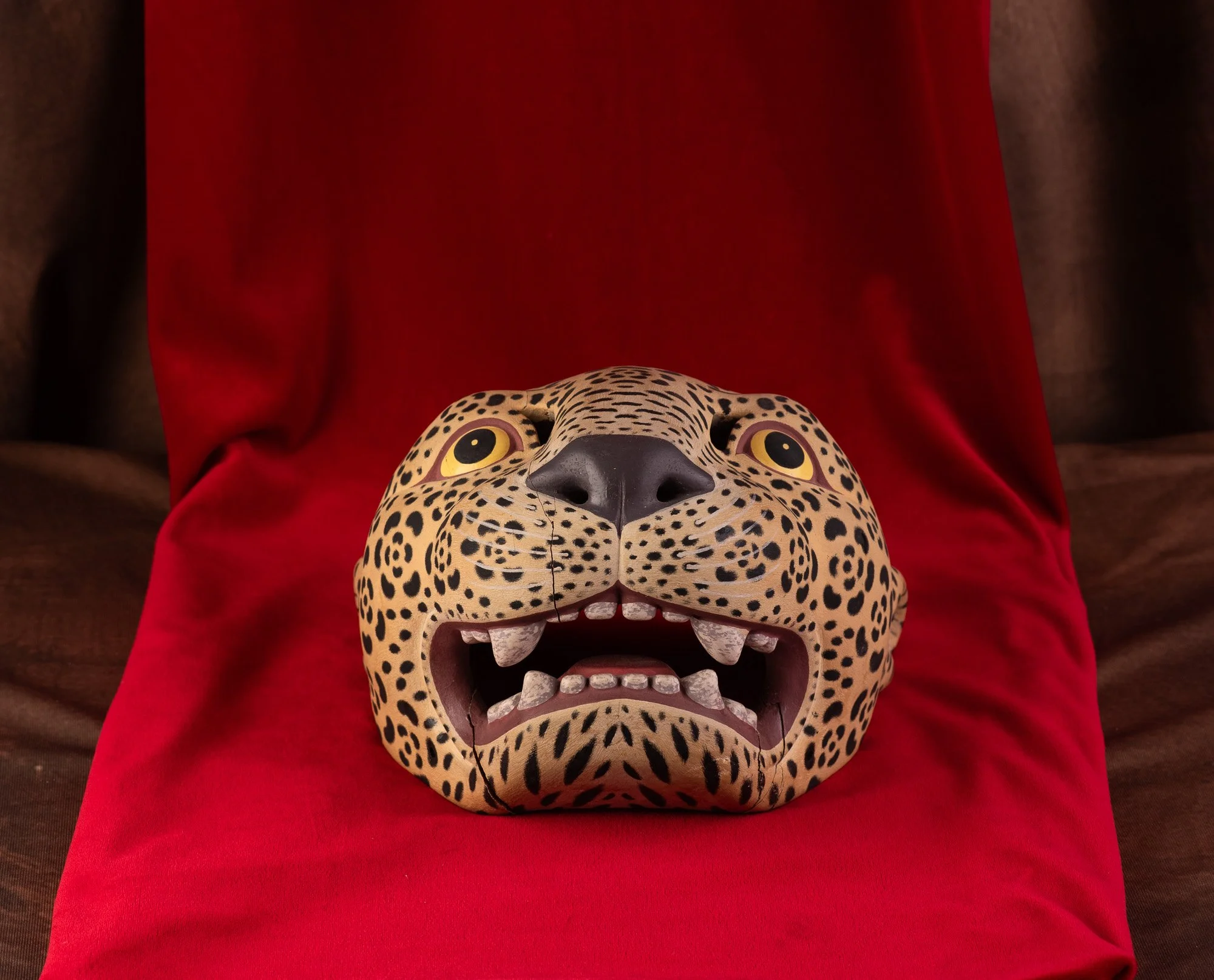 Jaguar-Filiberto Lopez Ortiz-8119.JPG