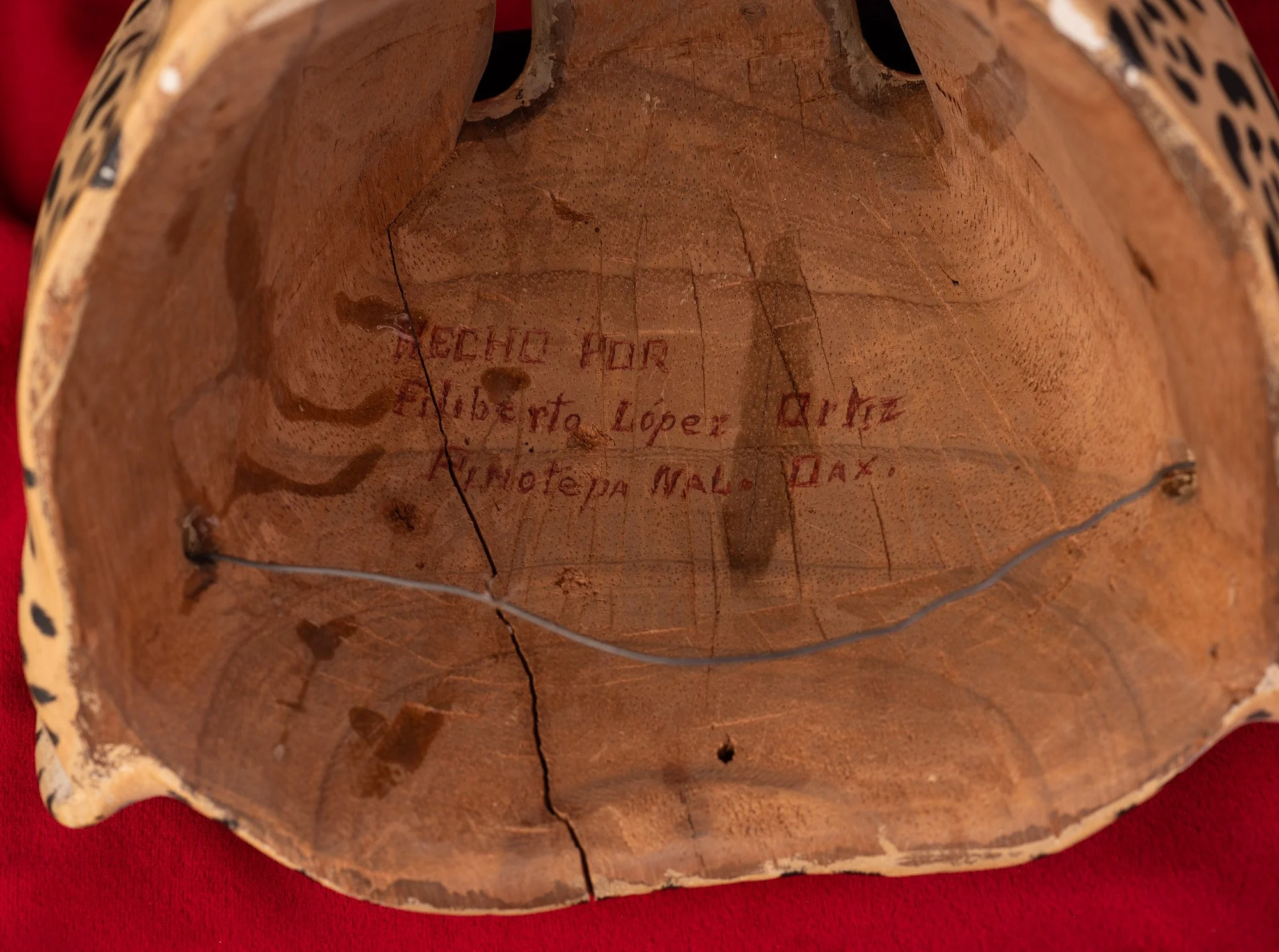 Jaguar-Filiberto Lopez Ortiz-8134.JPG