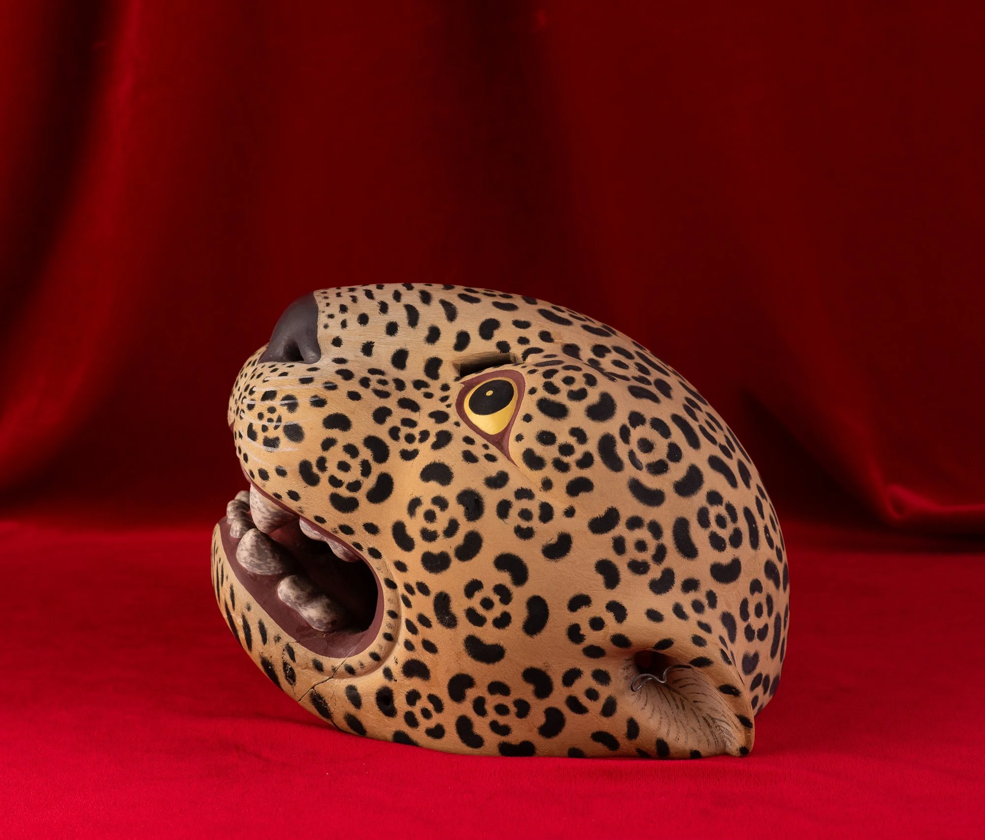 Jaguar-Filiberto Lopez Ortiz-8128.JPG