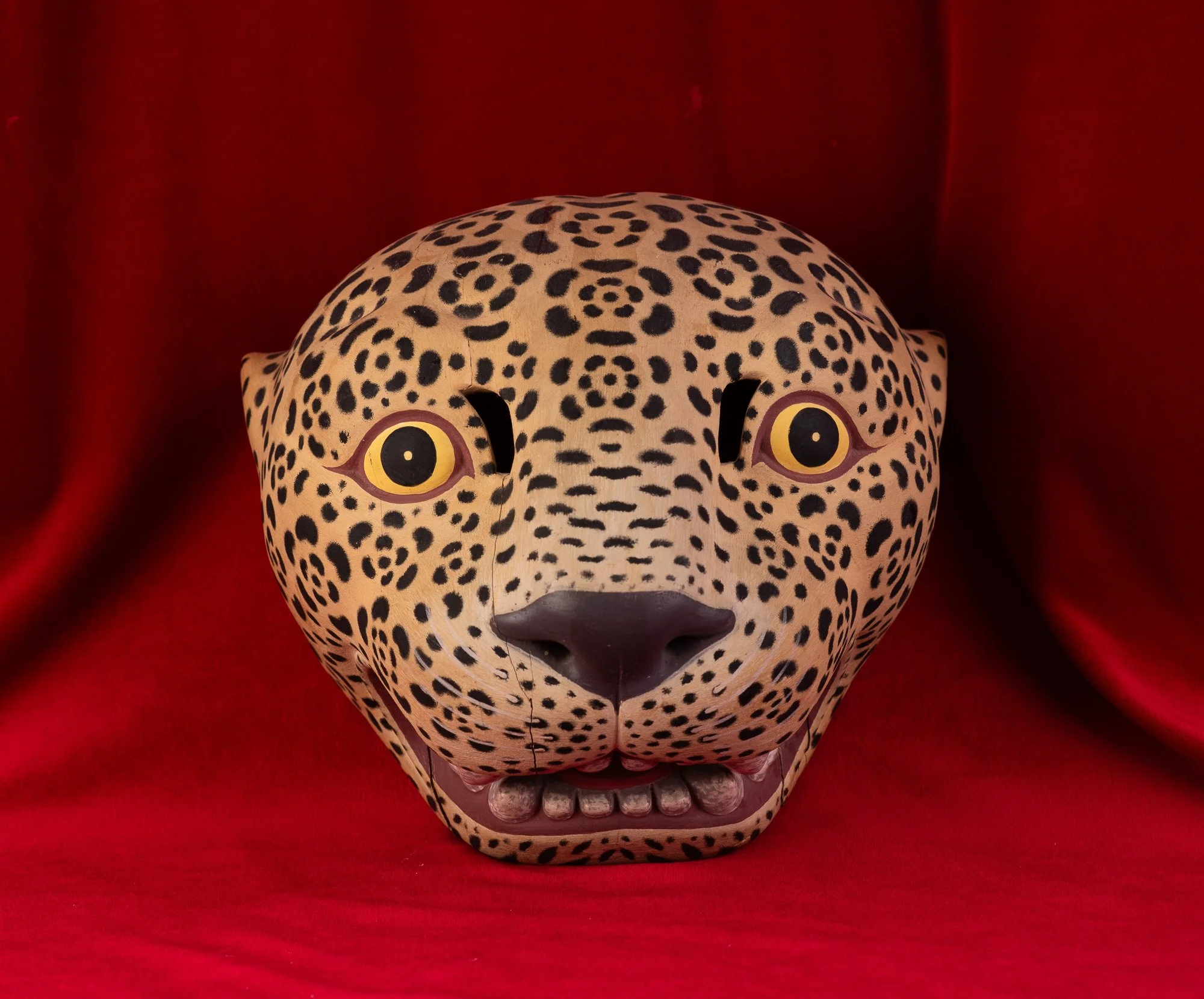 Jaguar-Filiberto Lopez Ortiz-8129.JPG