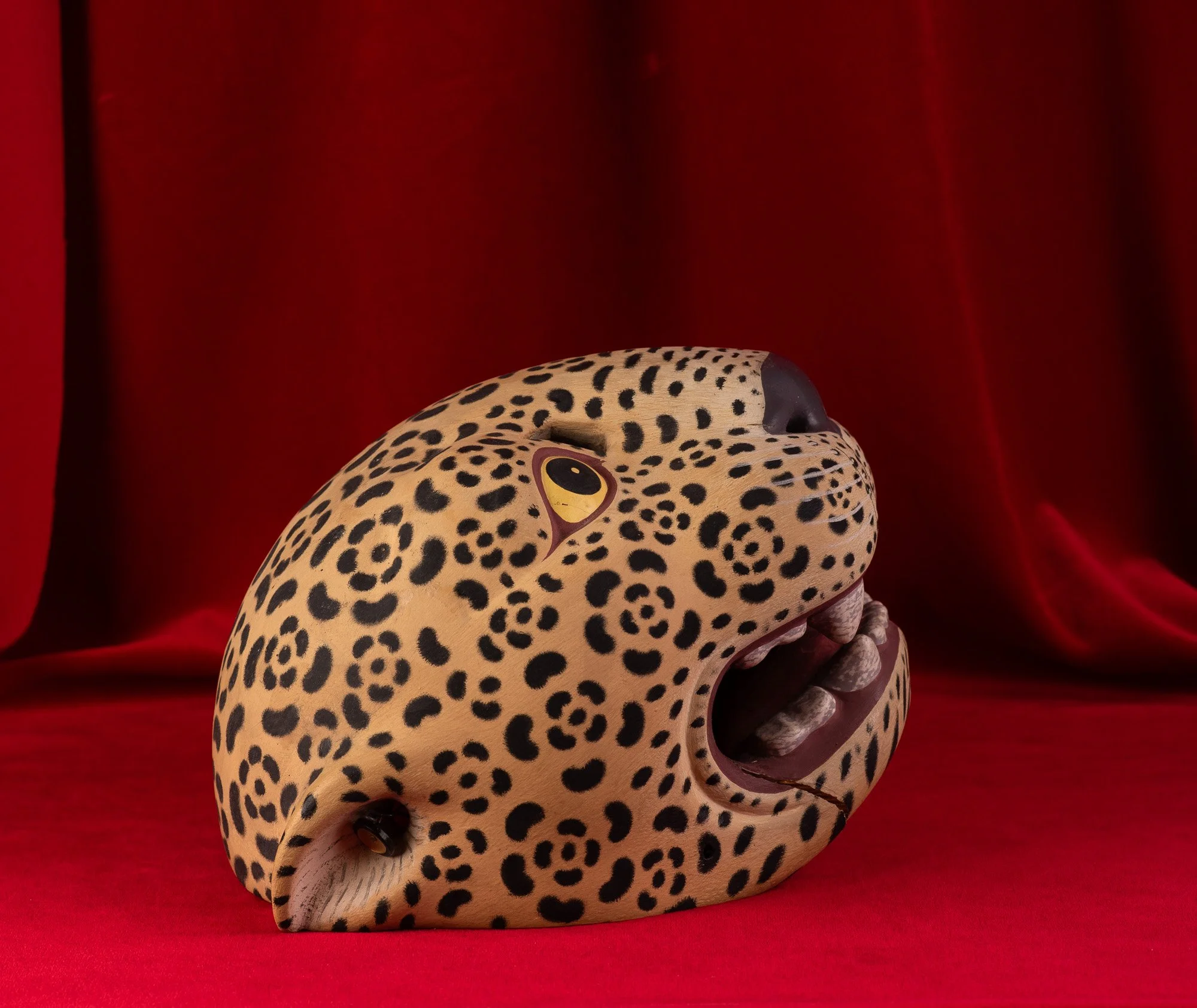 Jaguar-Filiberto Lopez Ortiz-8126.JPG