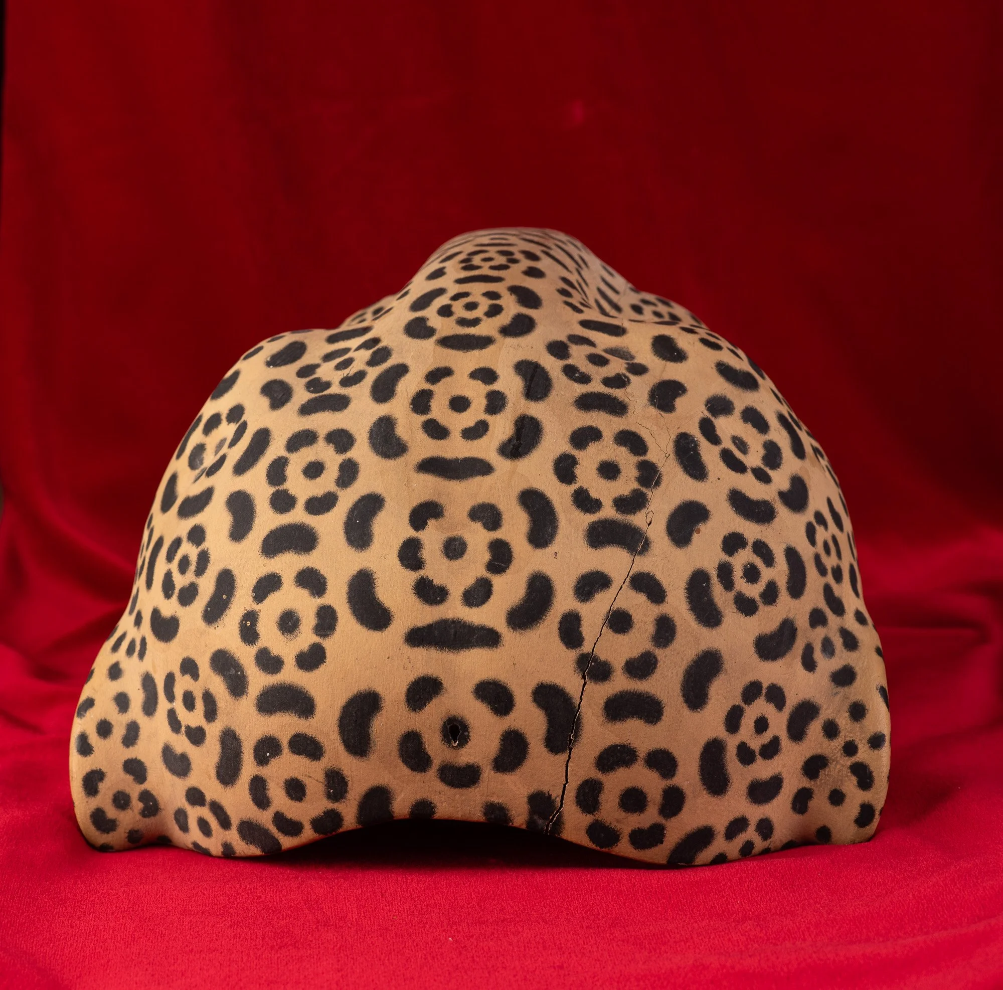 Jaguar-Filiberto Lopez Ortiz-8139.JPG