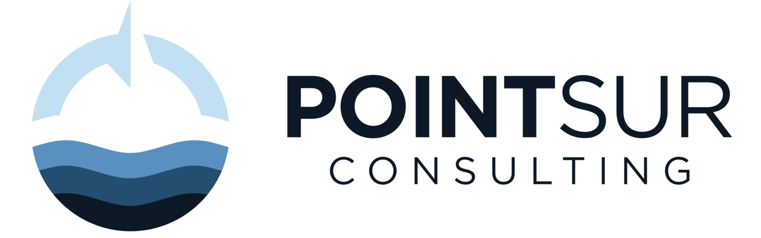 Point Sur Consulting