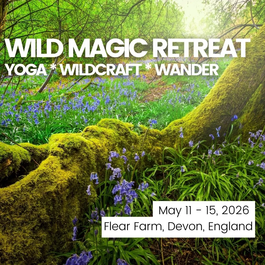 Wild Magic Retreat