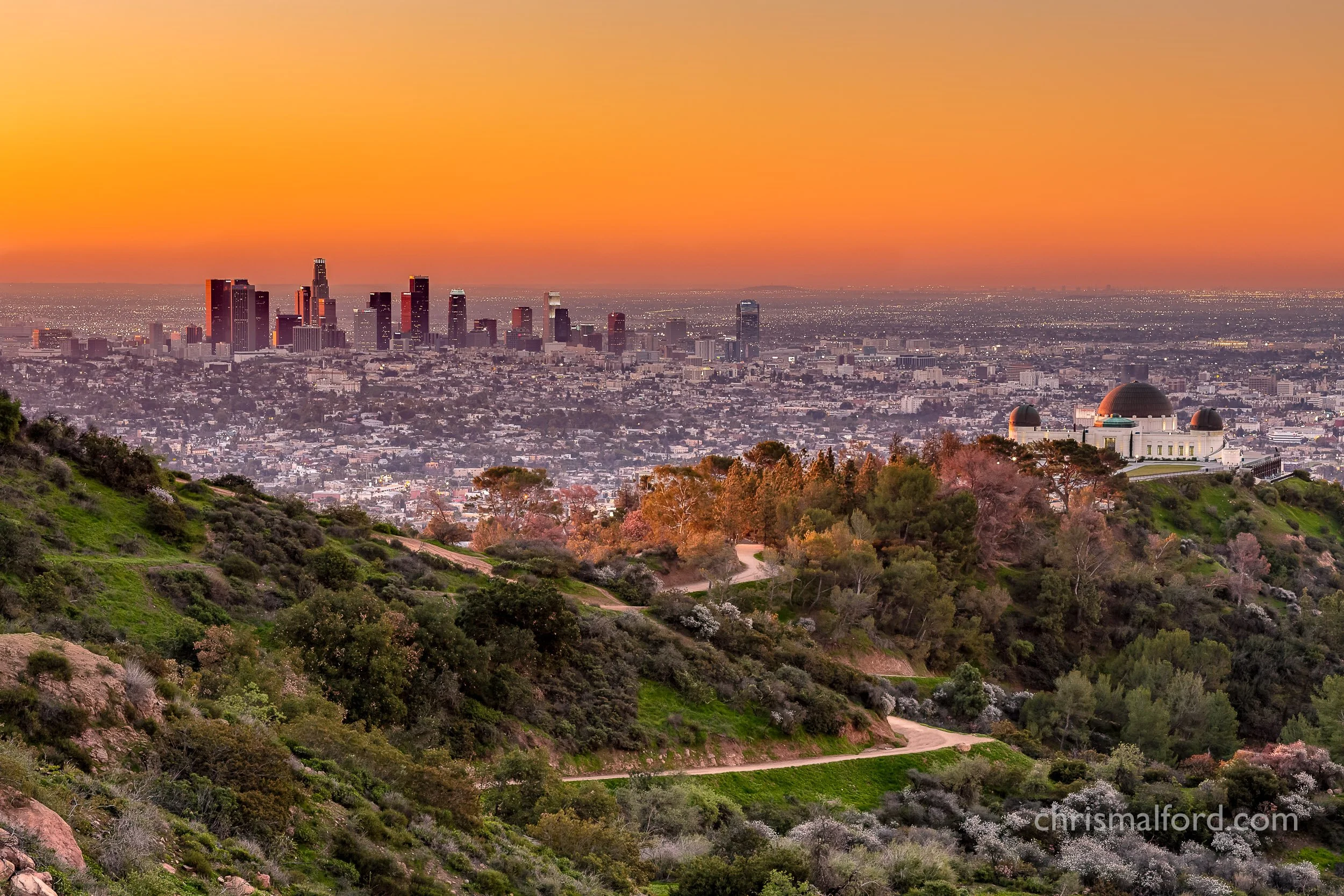 portfolio-sunrise-in-downtown-losangeles-california-and-griffith-observatory-photograph-by-chris-alford.jpg