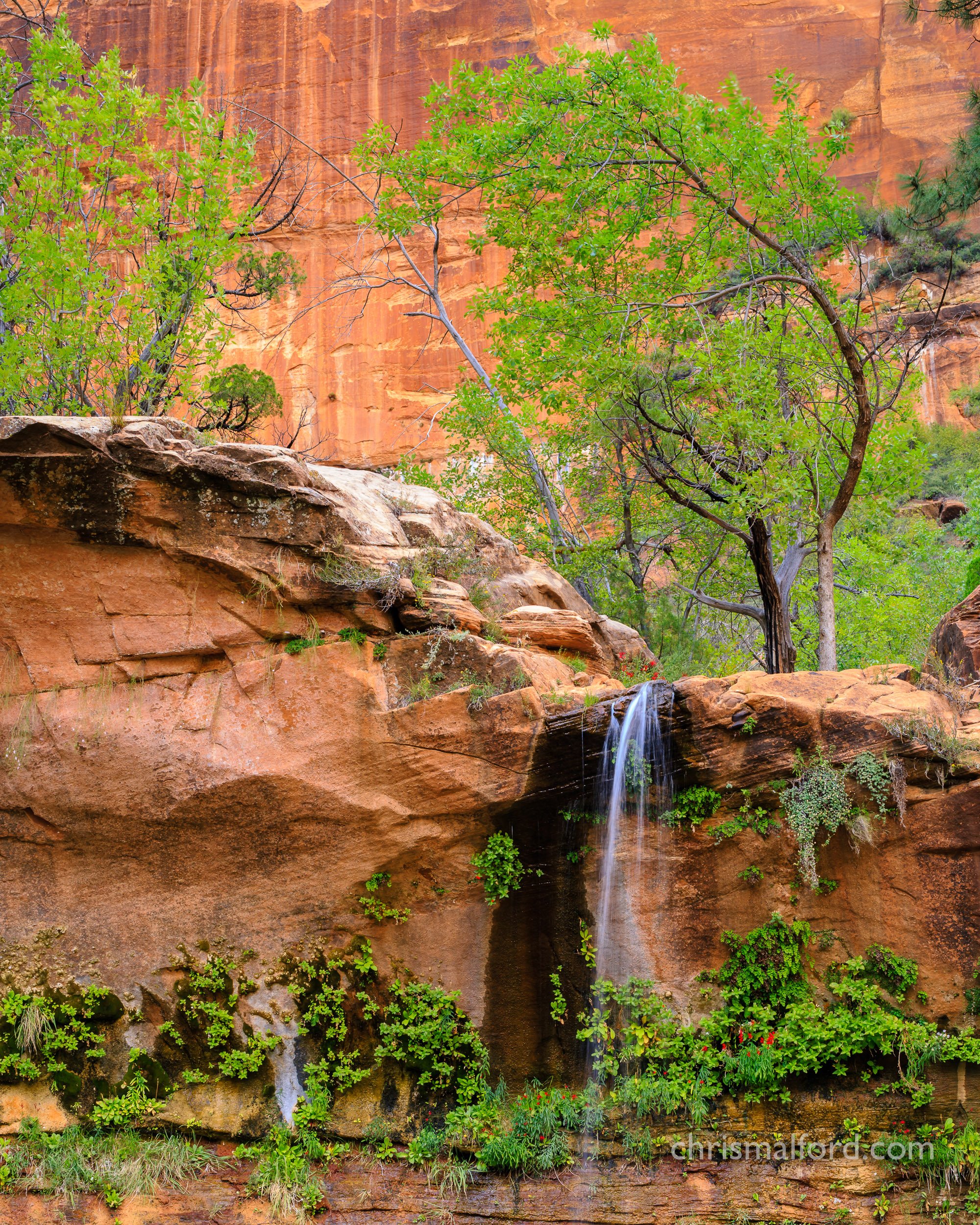 portfolio-emerald-pools-water-fall-zion-national-park-in-utah-photograph-by-chris-alford.jpg.jpg