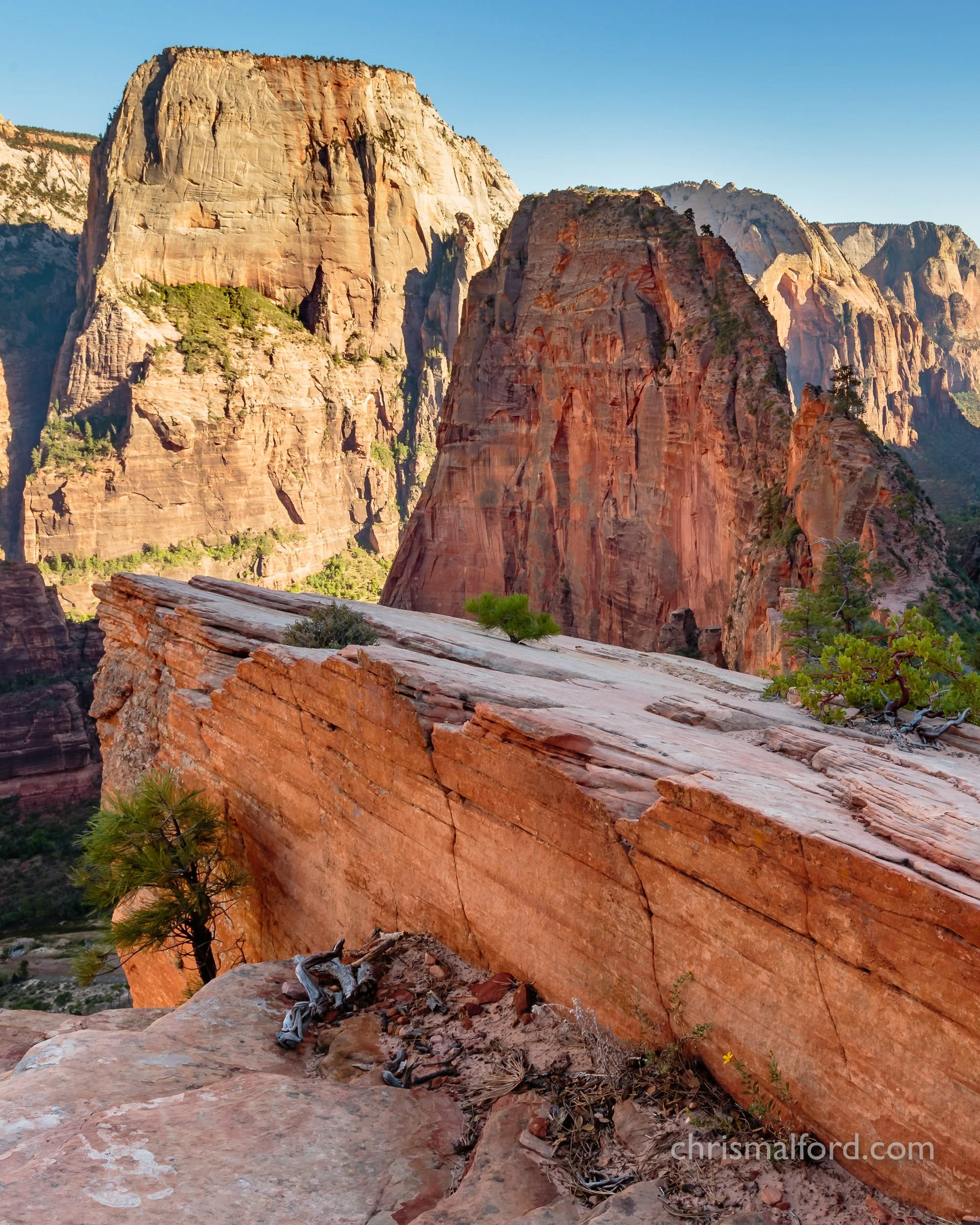 portfolio-angels-landing-zion-national-park-in-utah-photograph-by-chris-alford.jpg